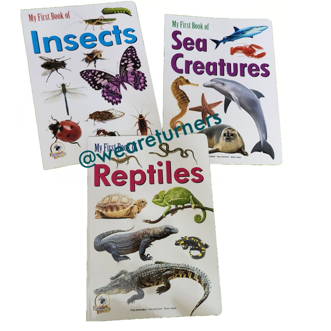 Insects - Sea Creatures - Reptiles - We Are Turners