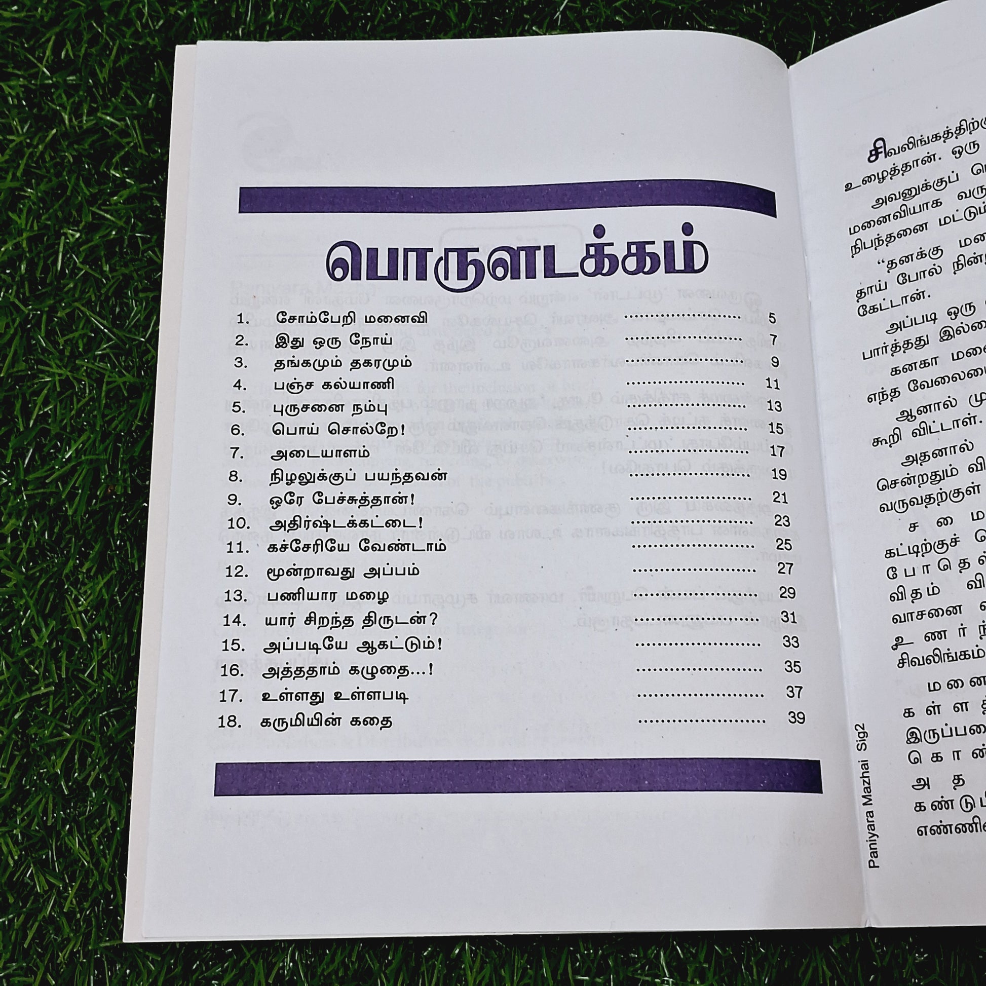 Paniyaara Mazhai - Story Book