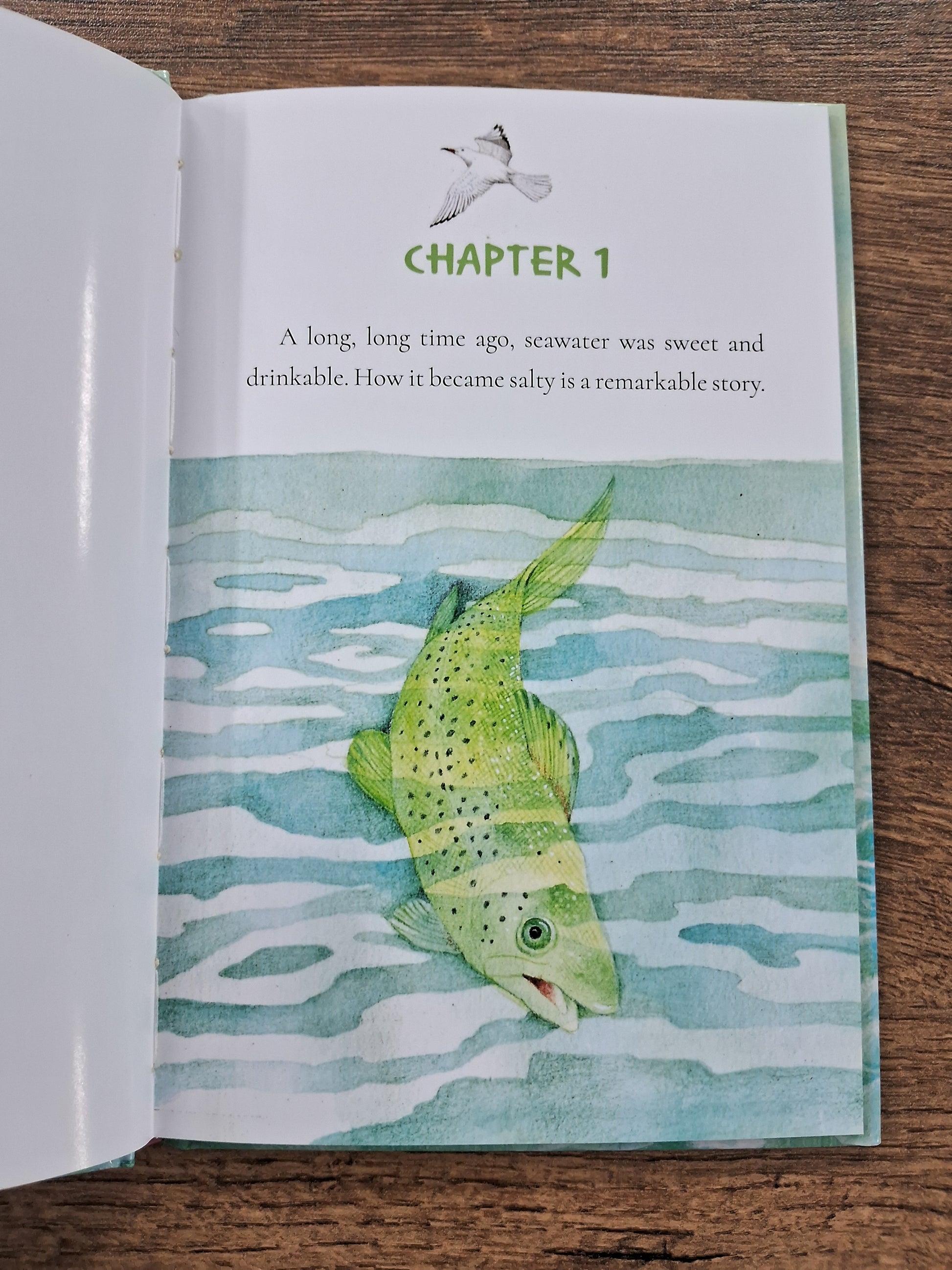 How the sea Became salty - Sudha Murthy