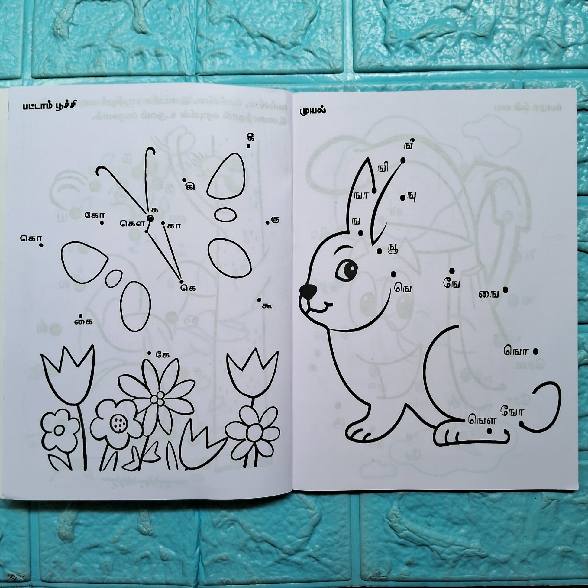 டாட் புக் - Dot Book