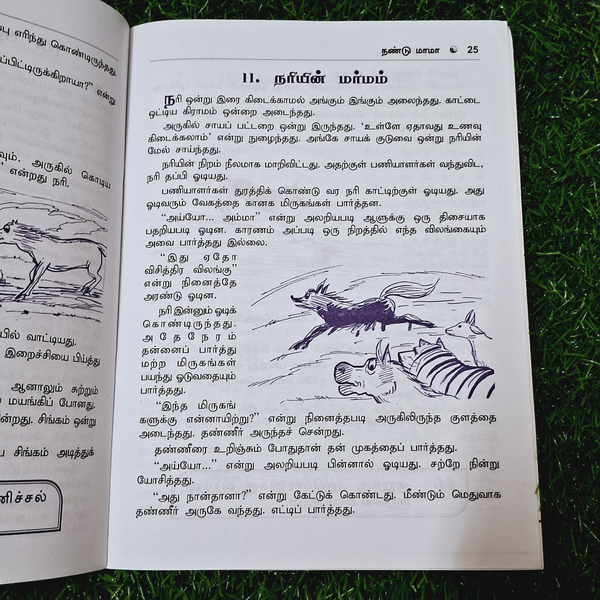 Veera Dheera Karadi - Story Book