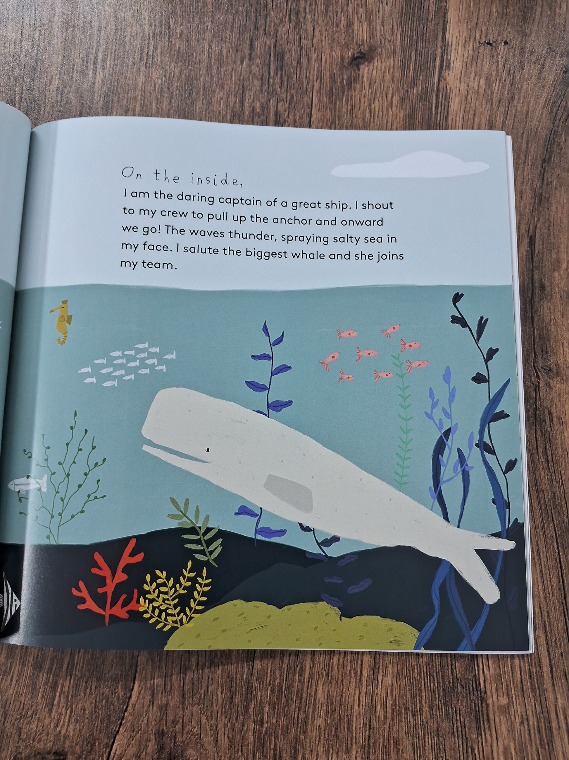 I Am Quiet - A Story for the Introvert in All of Us