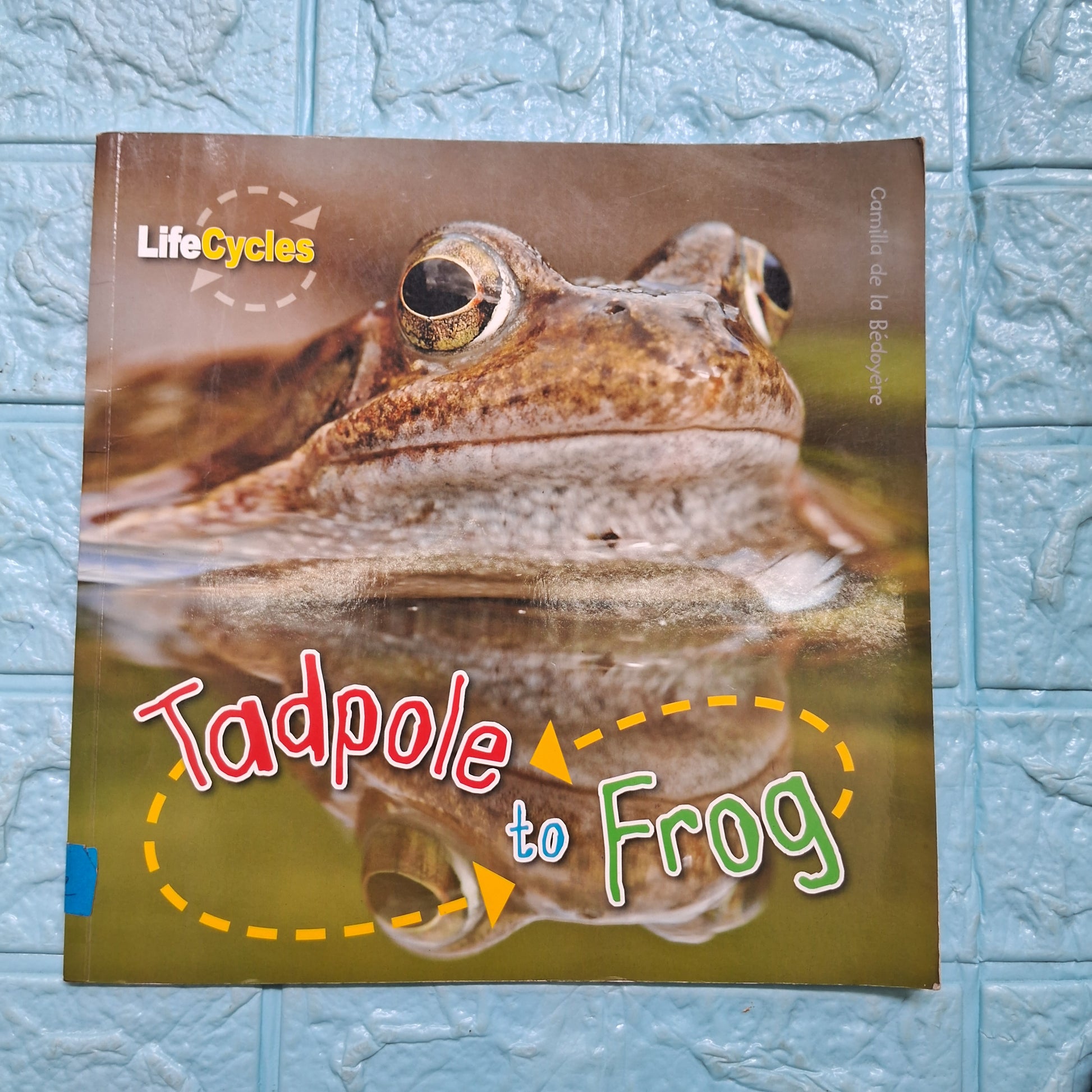 Tadpole to Frog - Very Good Condition Paperback