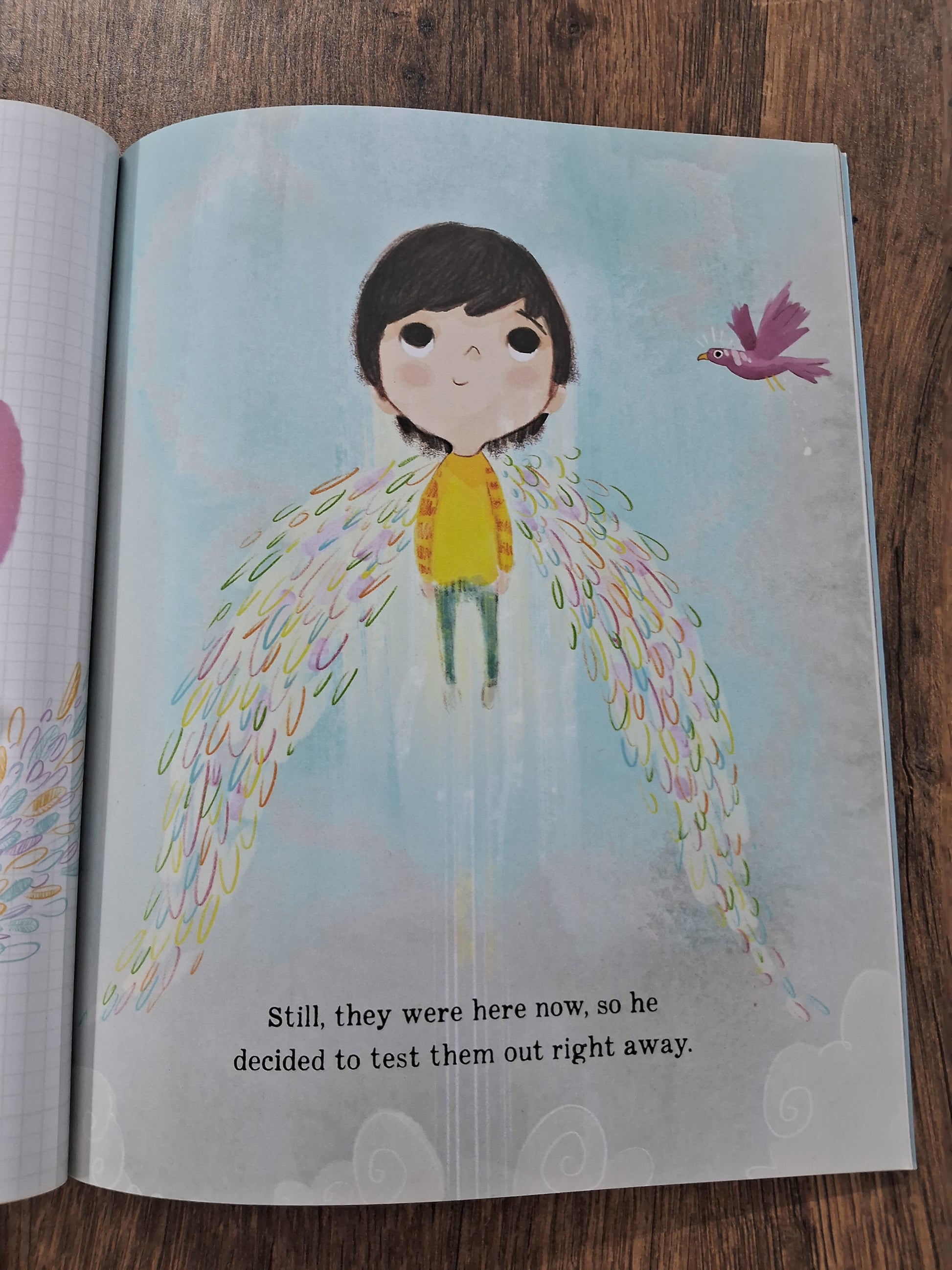 Perfectly Norman - Book on Feelings