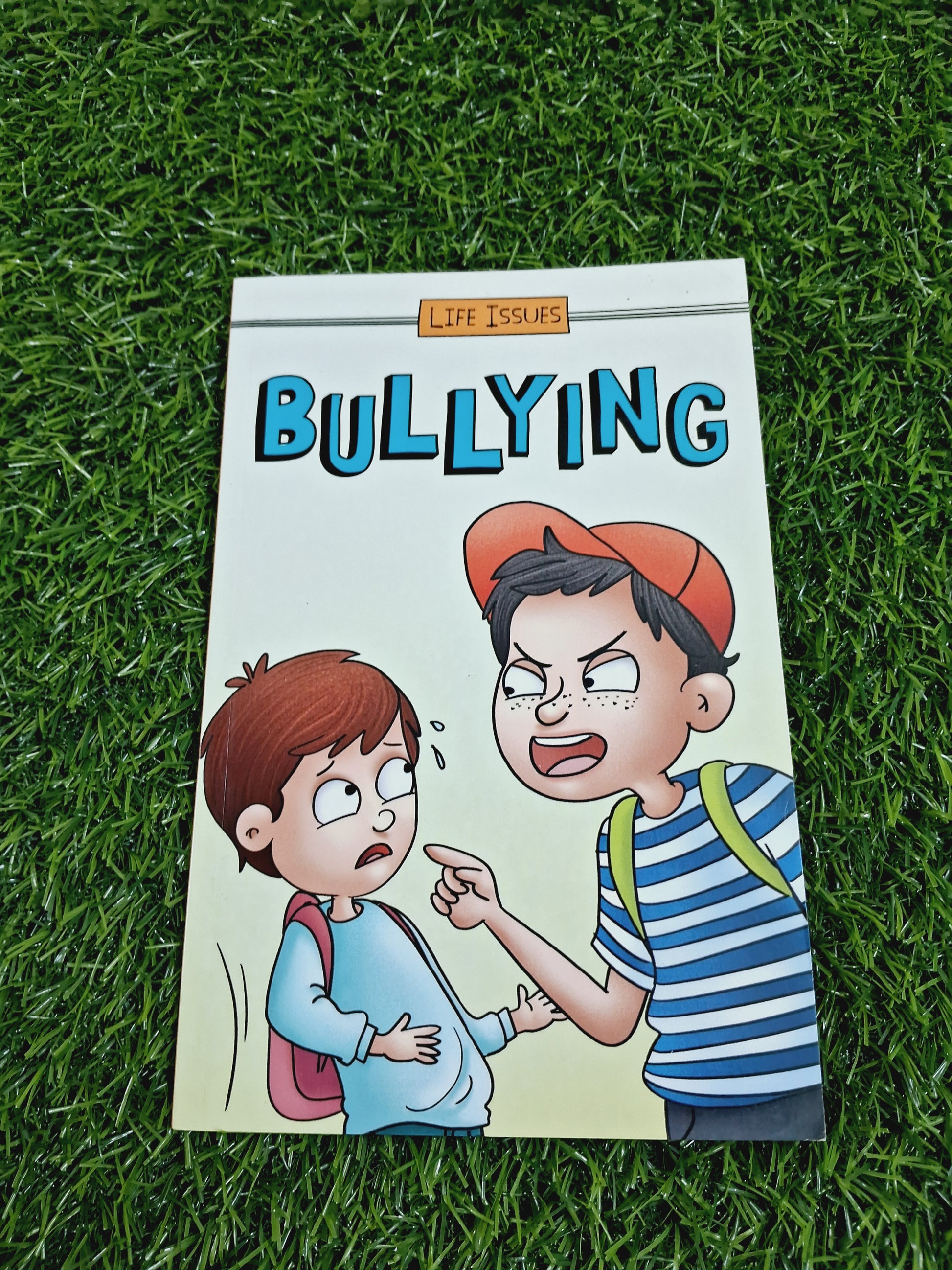 BULLYING - LIFE ISSUES