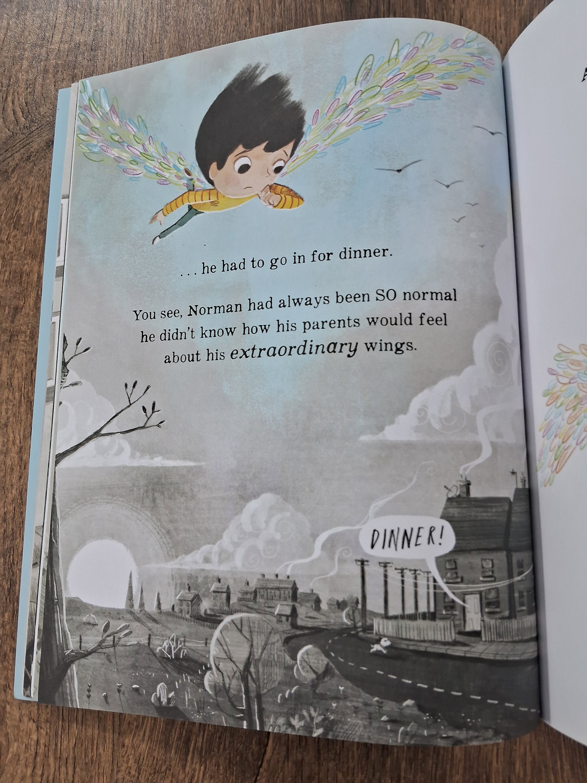 Perfectly Norman - Book on Feelings