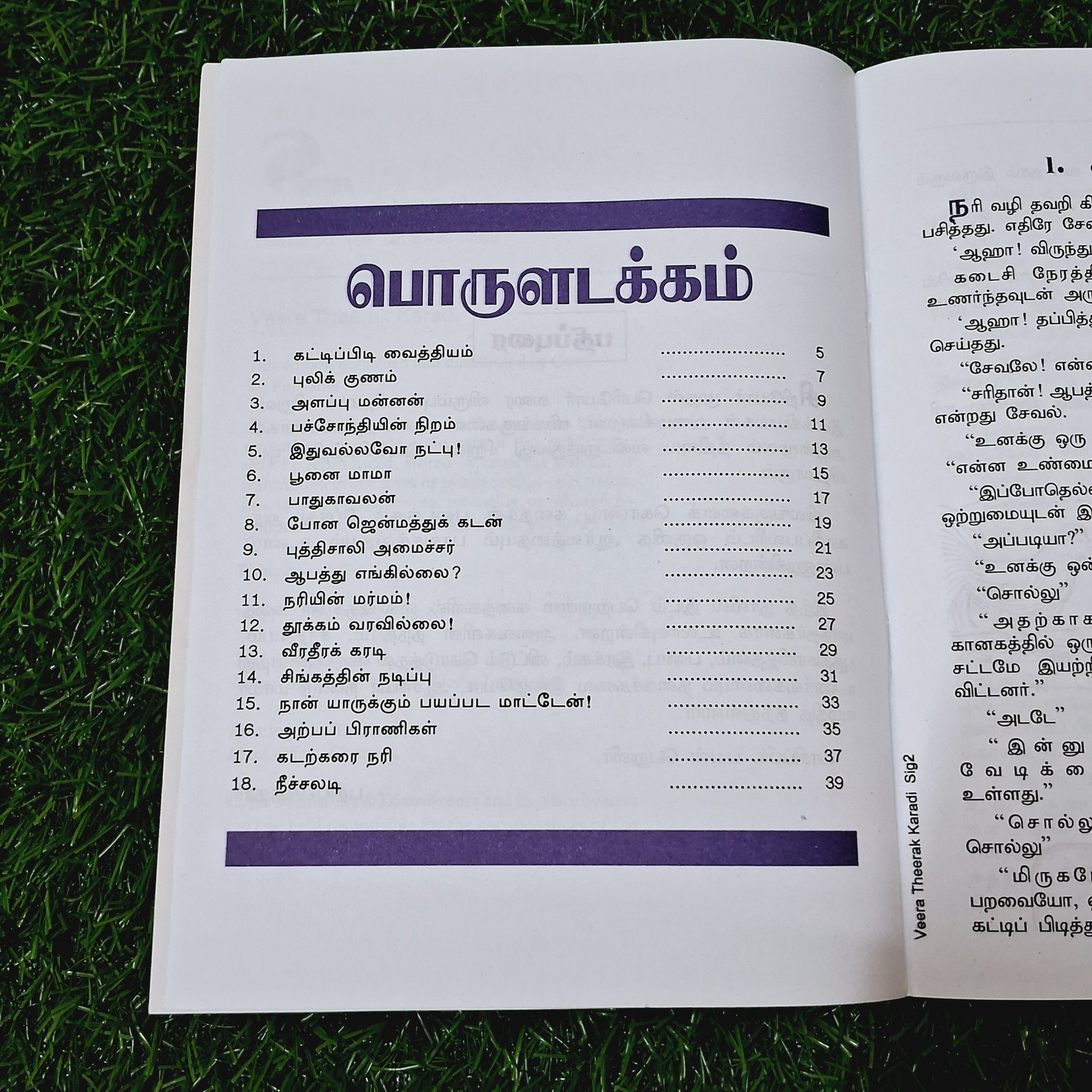 Veera Dheera Karadi - Story Book