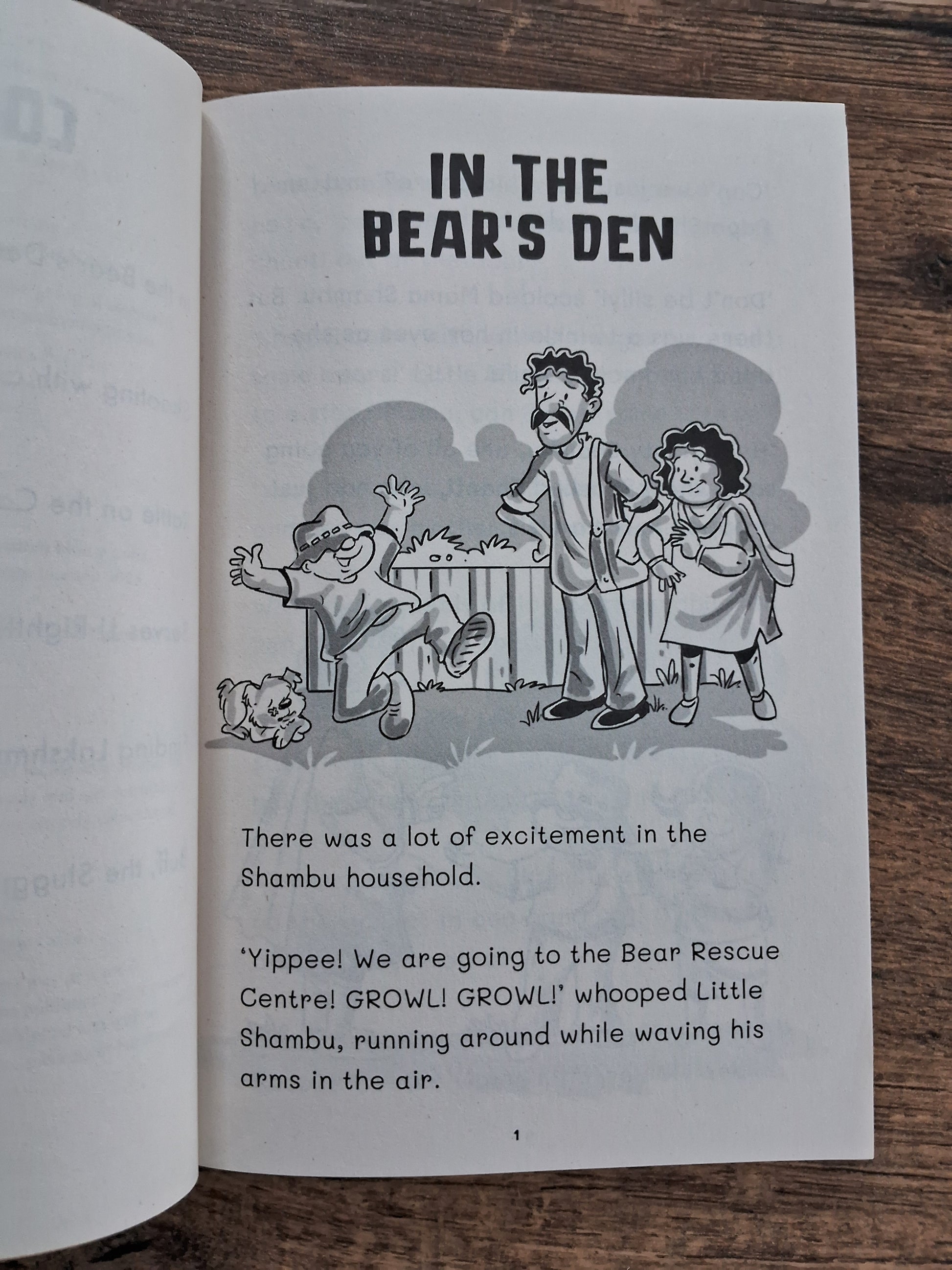 Adventures of Little Shambu - a set of 3 books