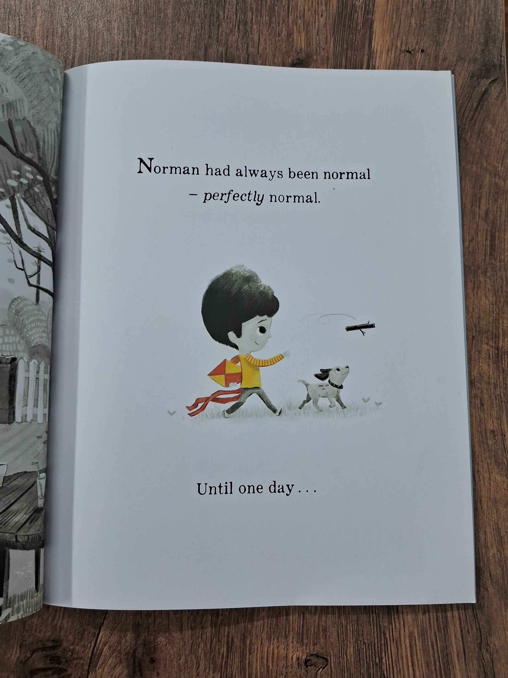 Perfectly Norman - Book on Feelings