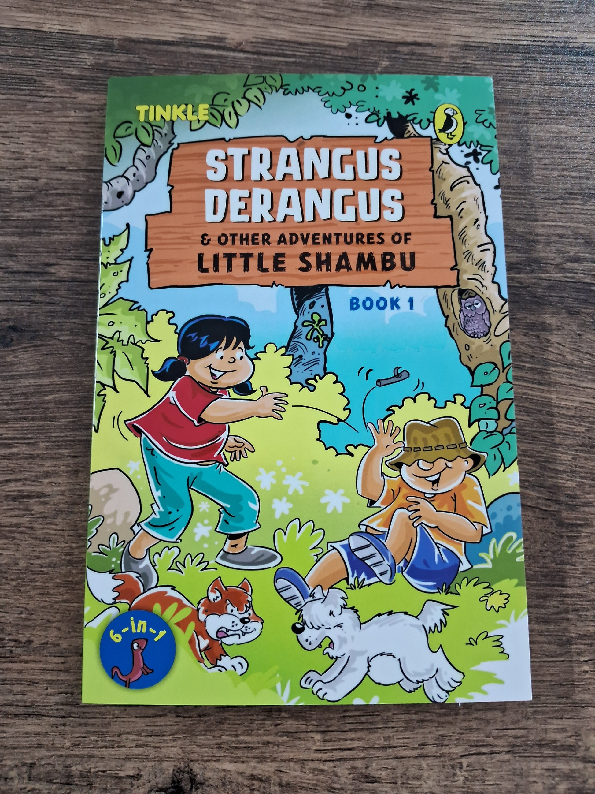 Adventures of Little Shambu - a set of 3 books