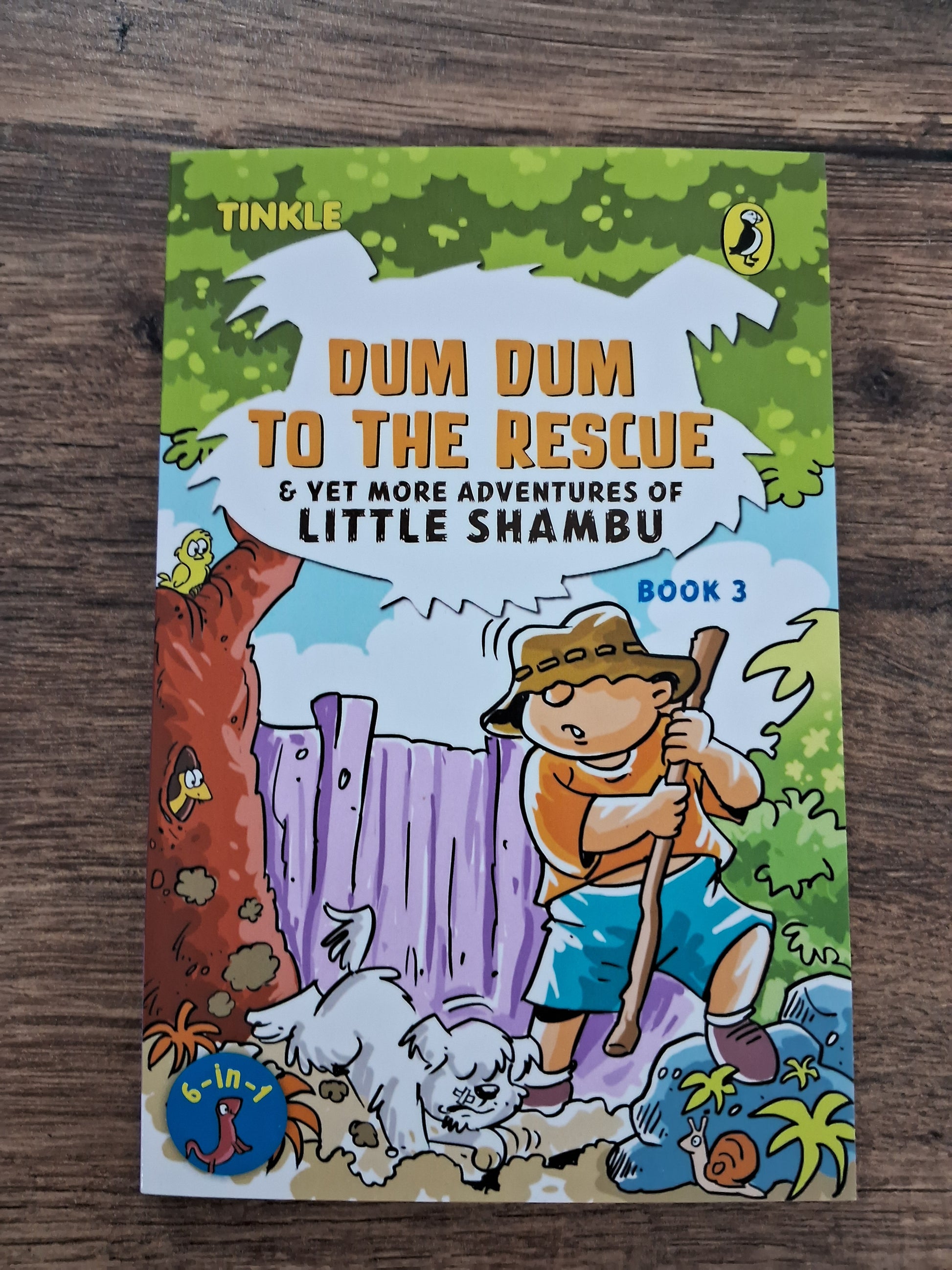 Adventures of Little Shambu - a set of 3 books