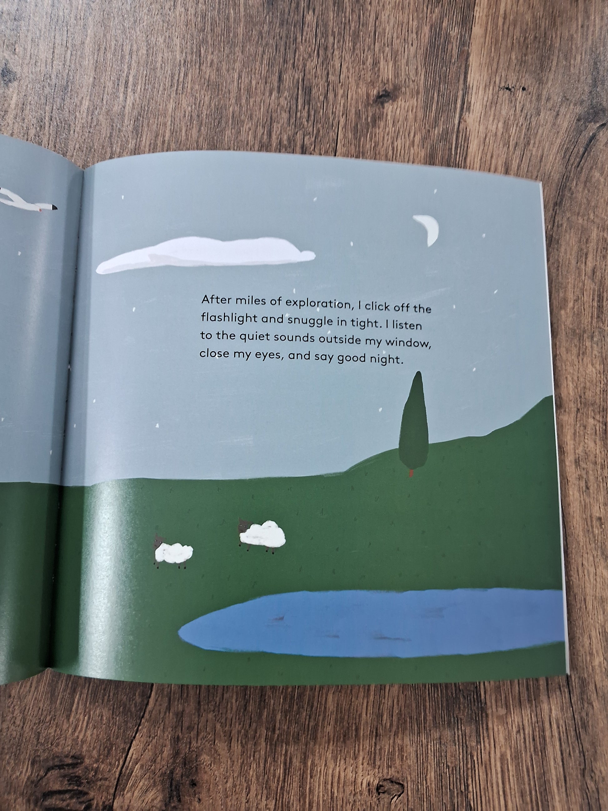 I Am Quiet - A Story for the Introvert in All of Us