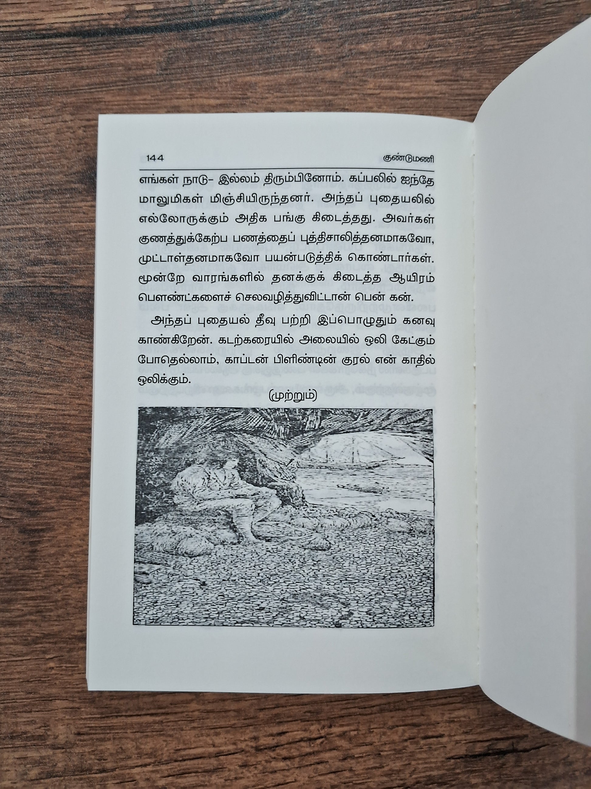 புதையல் தீவு - chapter book