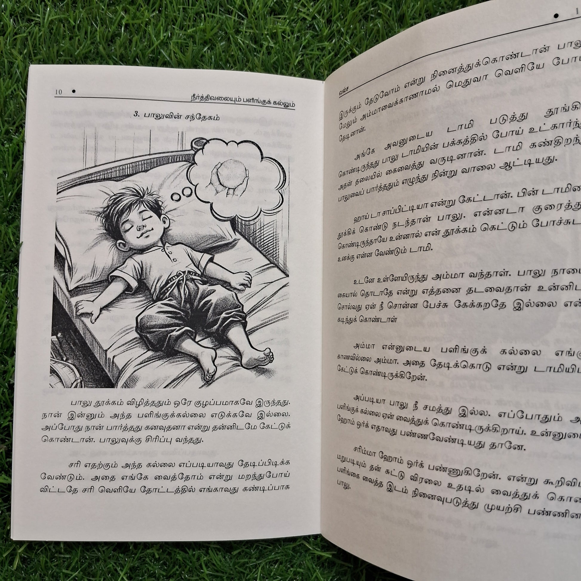 Neerthivalaiyum palingukalum