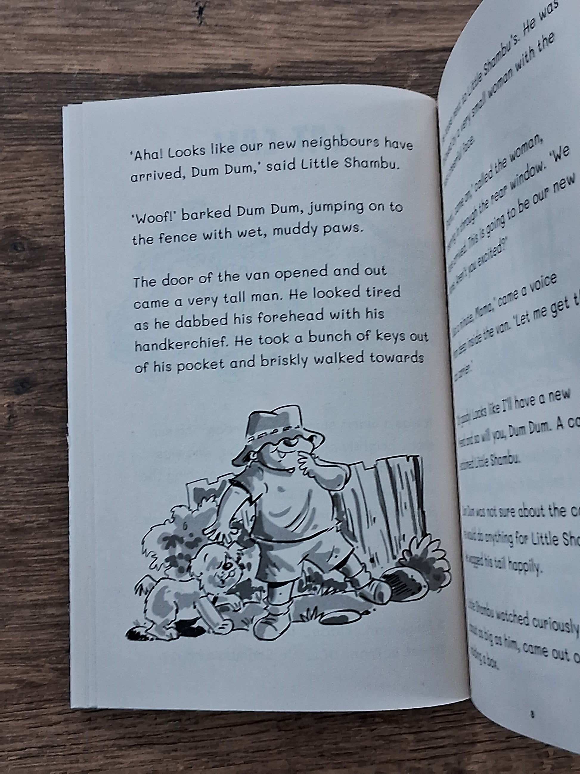 Adventures of Little Shambu - a set of 3 books