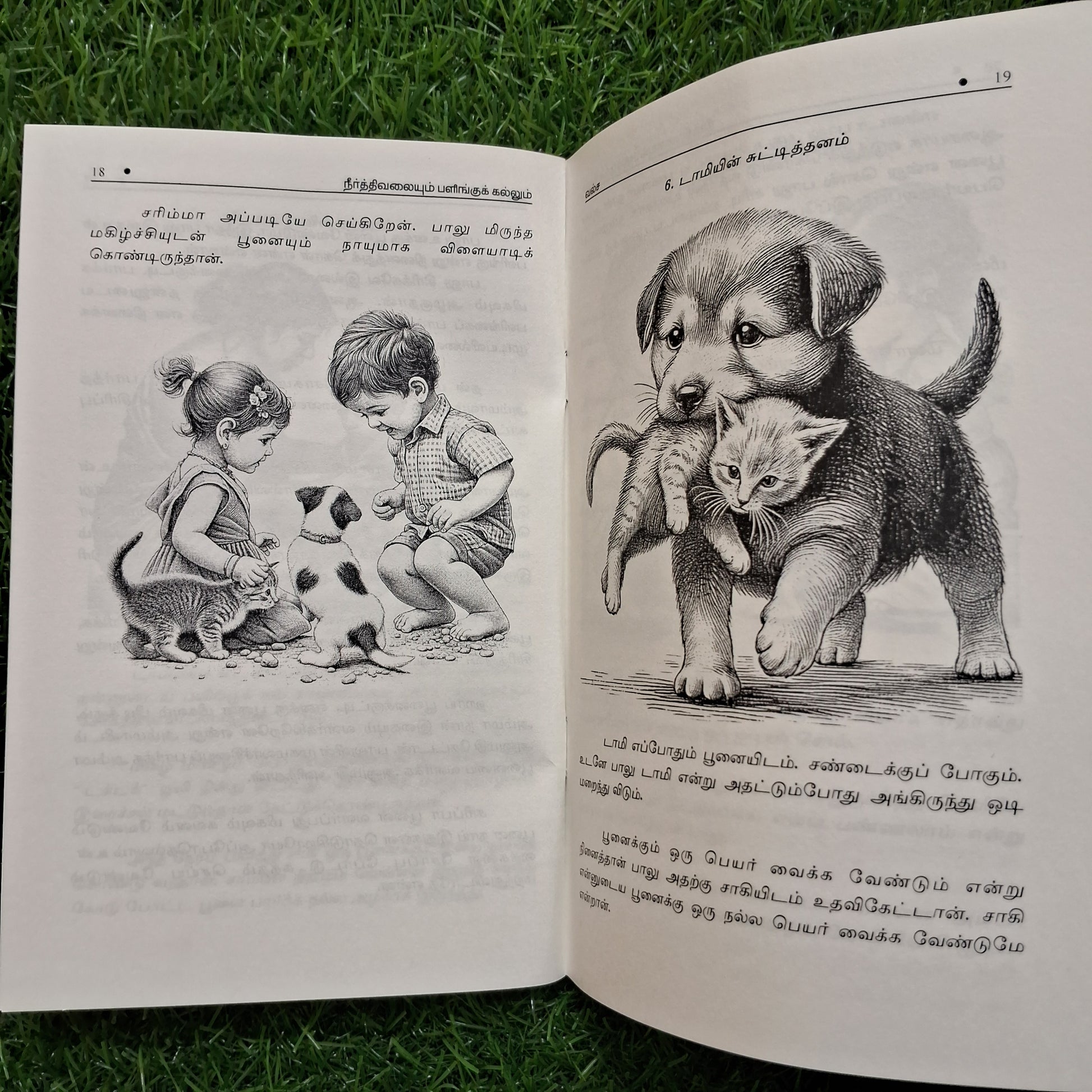 Neerthivalaiyum palingukalum