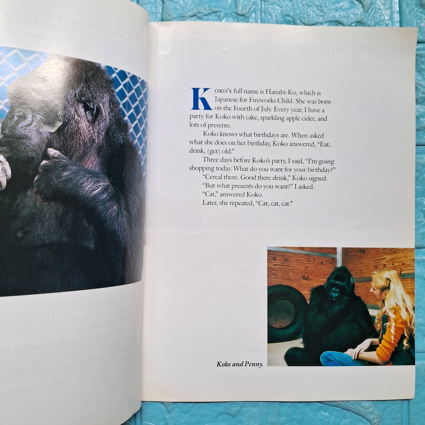 Koko's Kitten - Good Condition Paperback