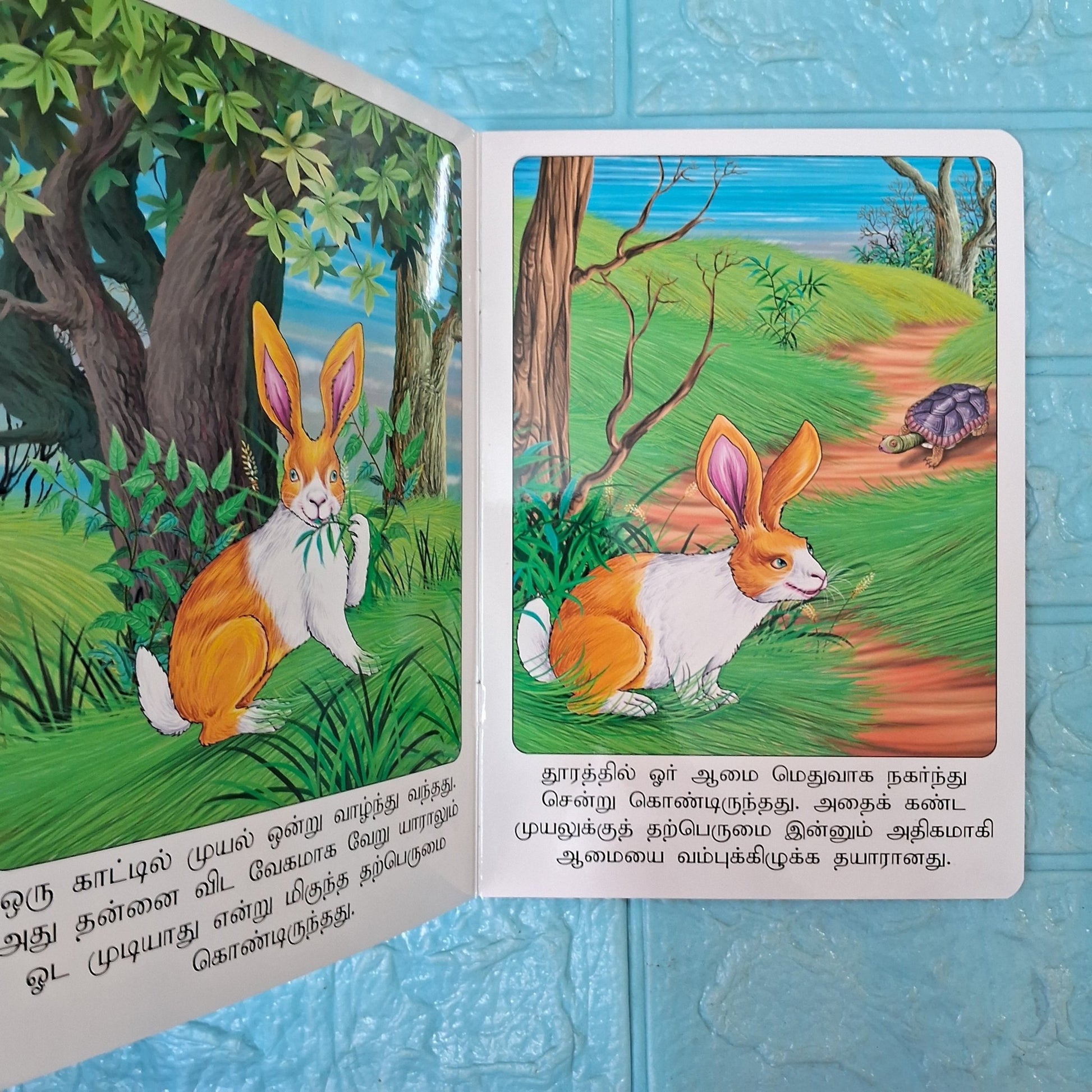 முயலும் ஆமையும் - Tamil Moral Story. - We Are Turners