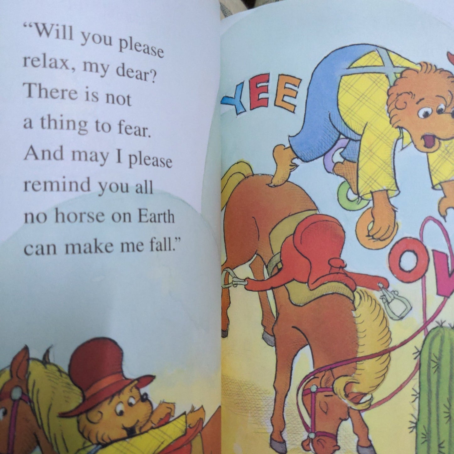 The Berenstain Bears out West - We Are Turners