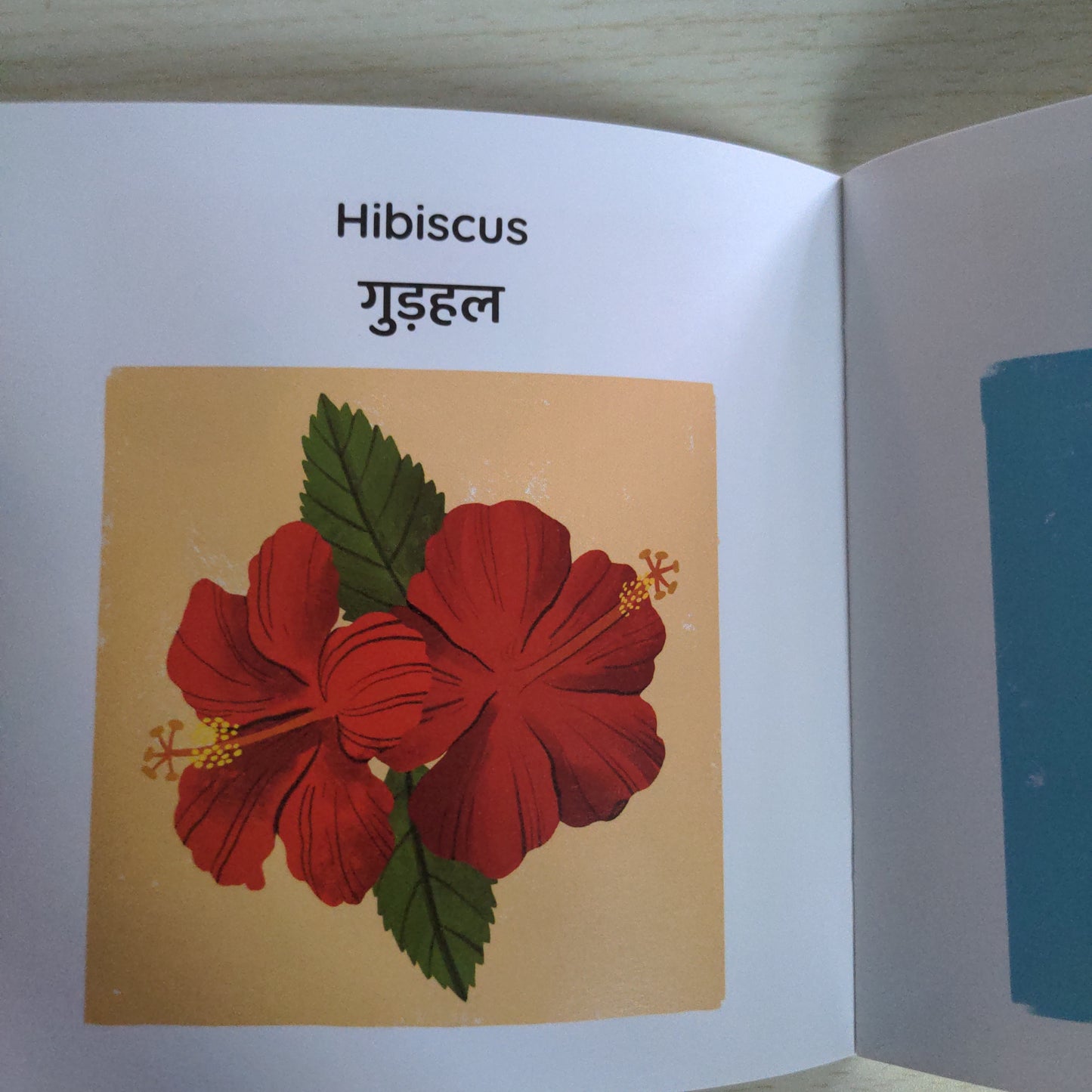 My First Book of Flowers - English-Hindi