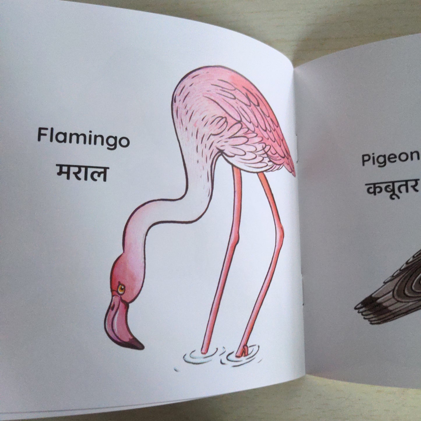 My First Book of Birds - English-Hindi