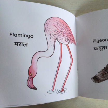 My First Book of Birds - English-Hindi