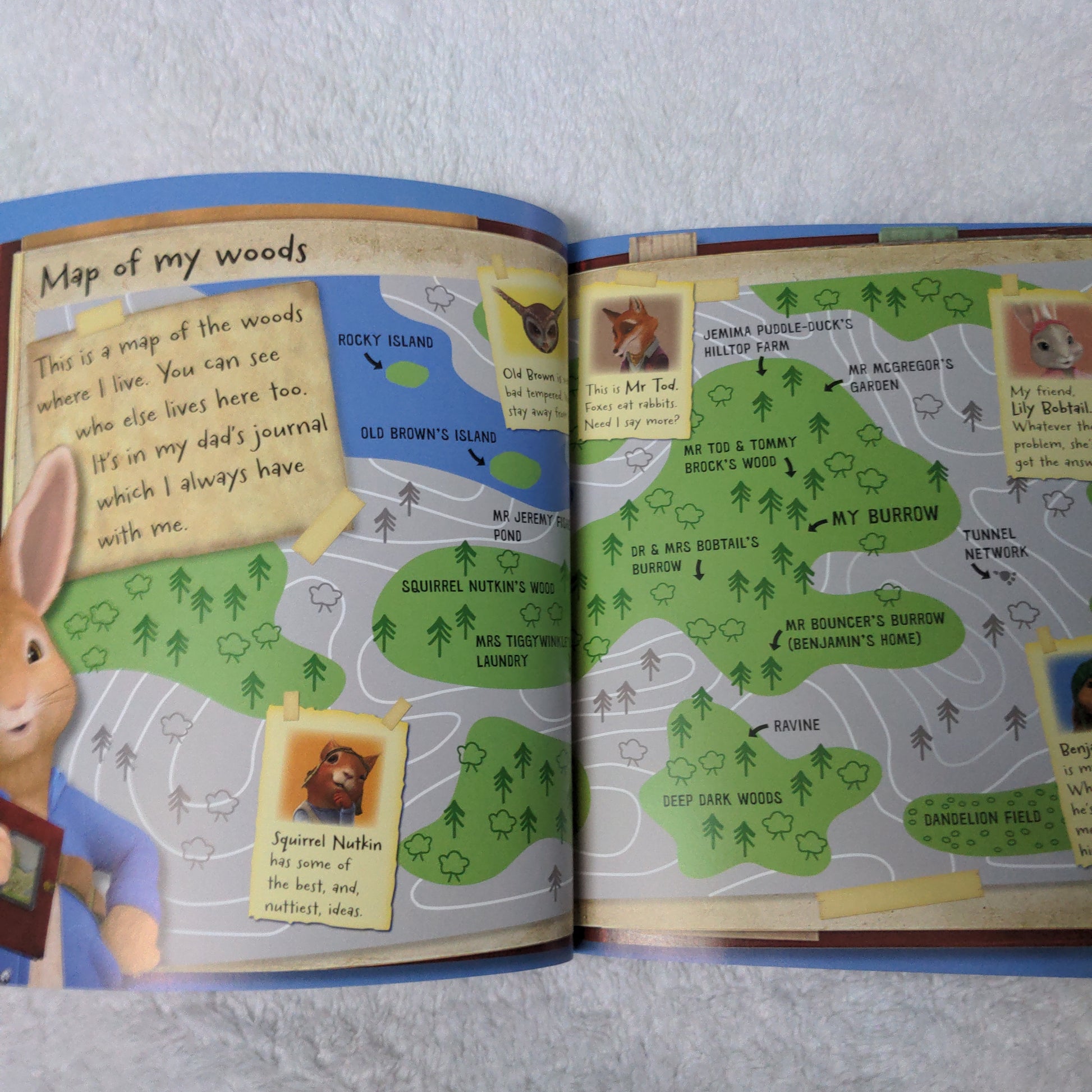 Peter Rabbit - Tree House Rescue