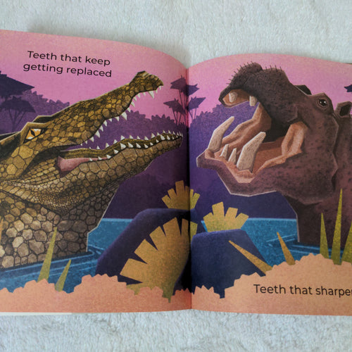 All About Teeth - Pratham English