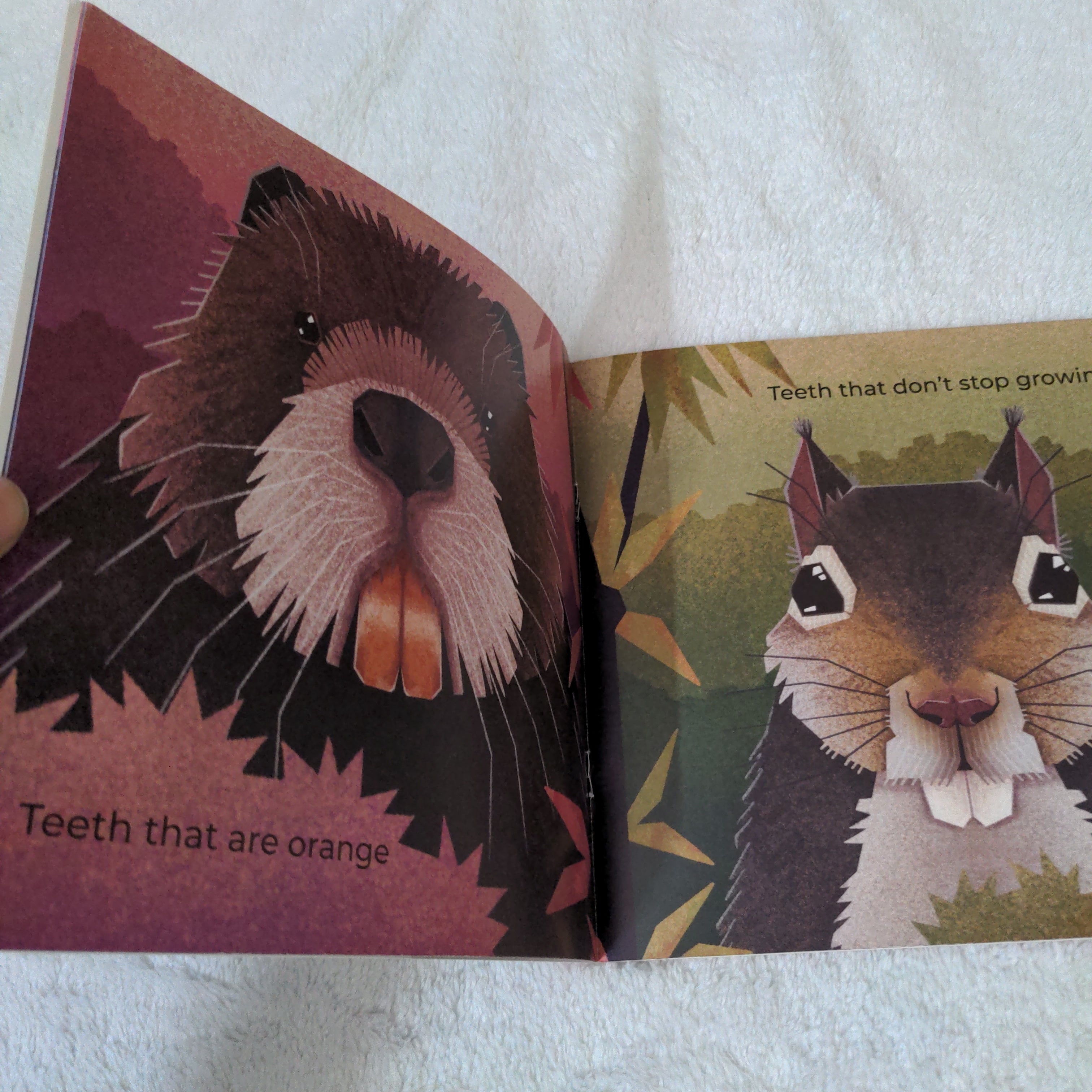 All About Teeth - Pratham English