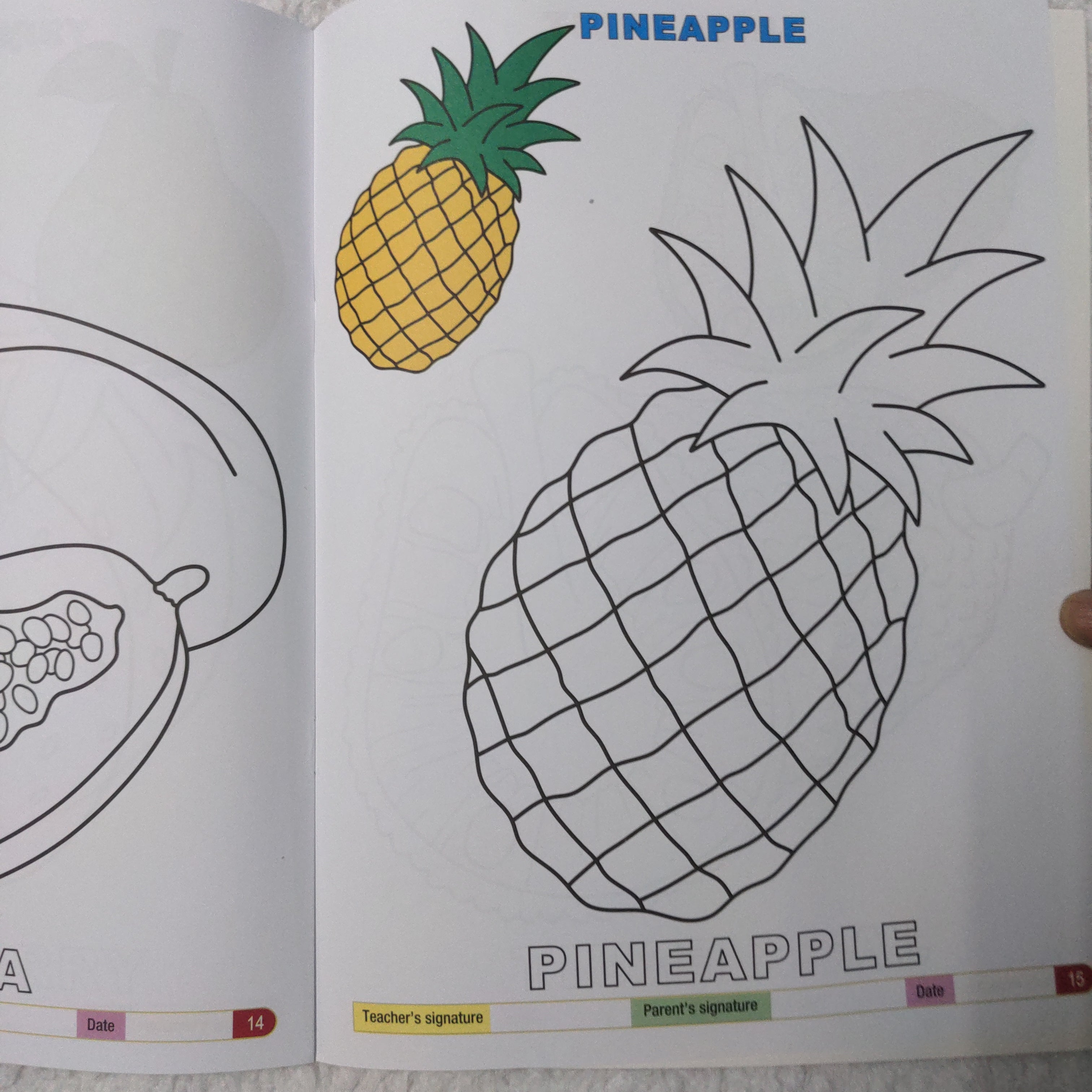 My Funtime Copy Colour - Fruits
