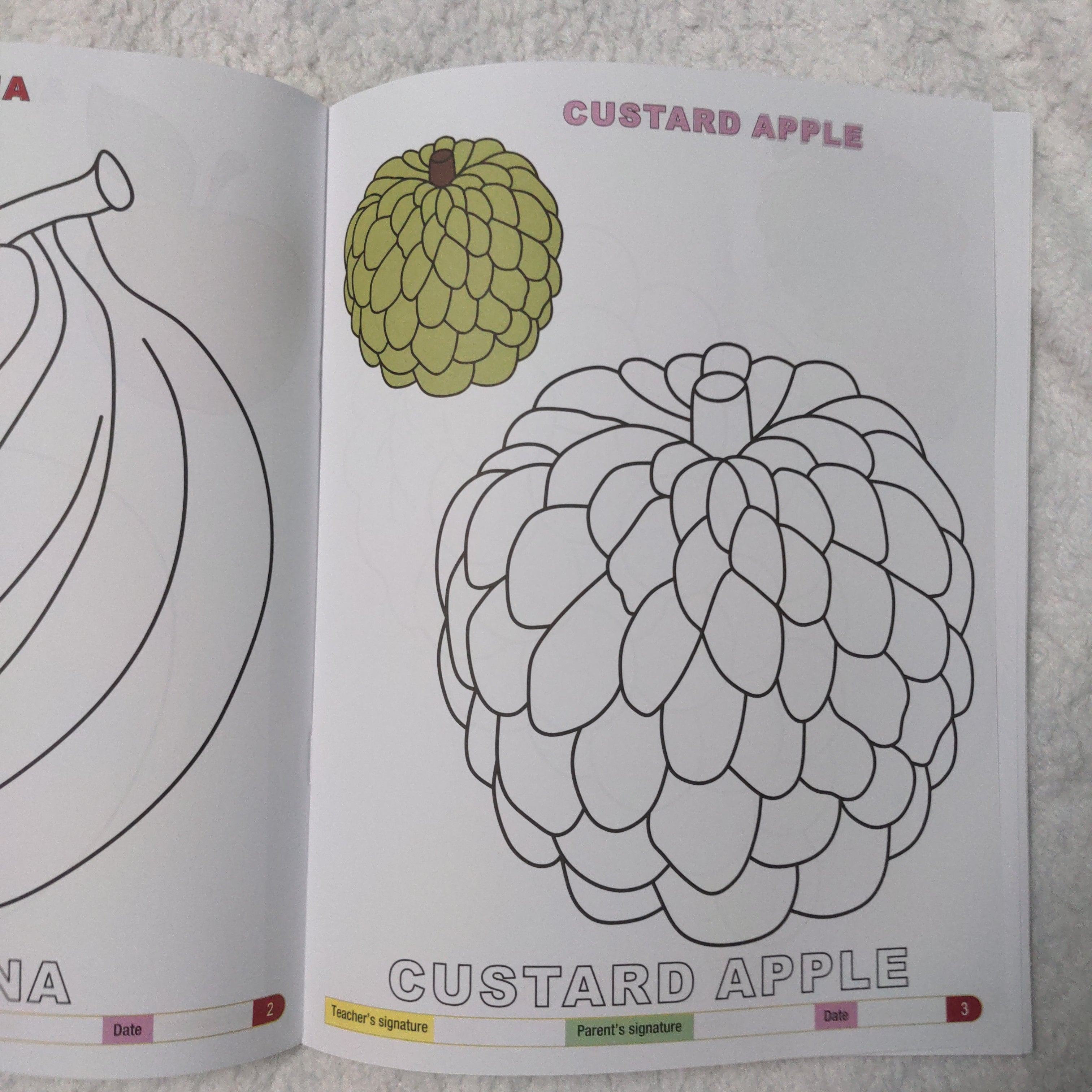 My Funtime Copy Colour - Fruits