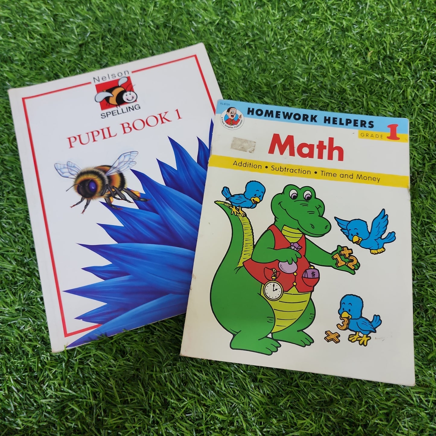 Math and Pupil book
