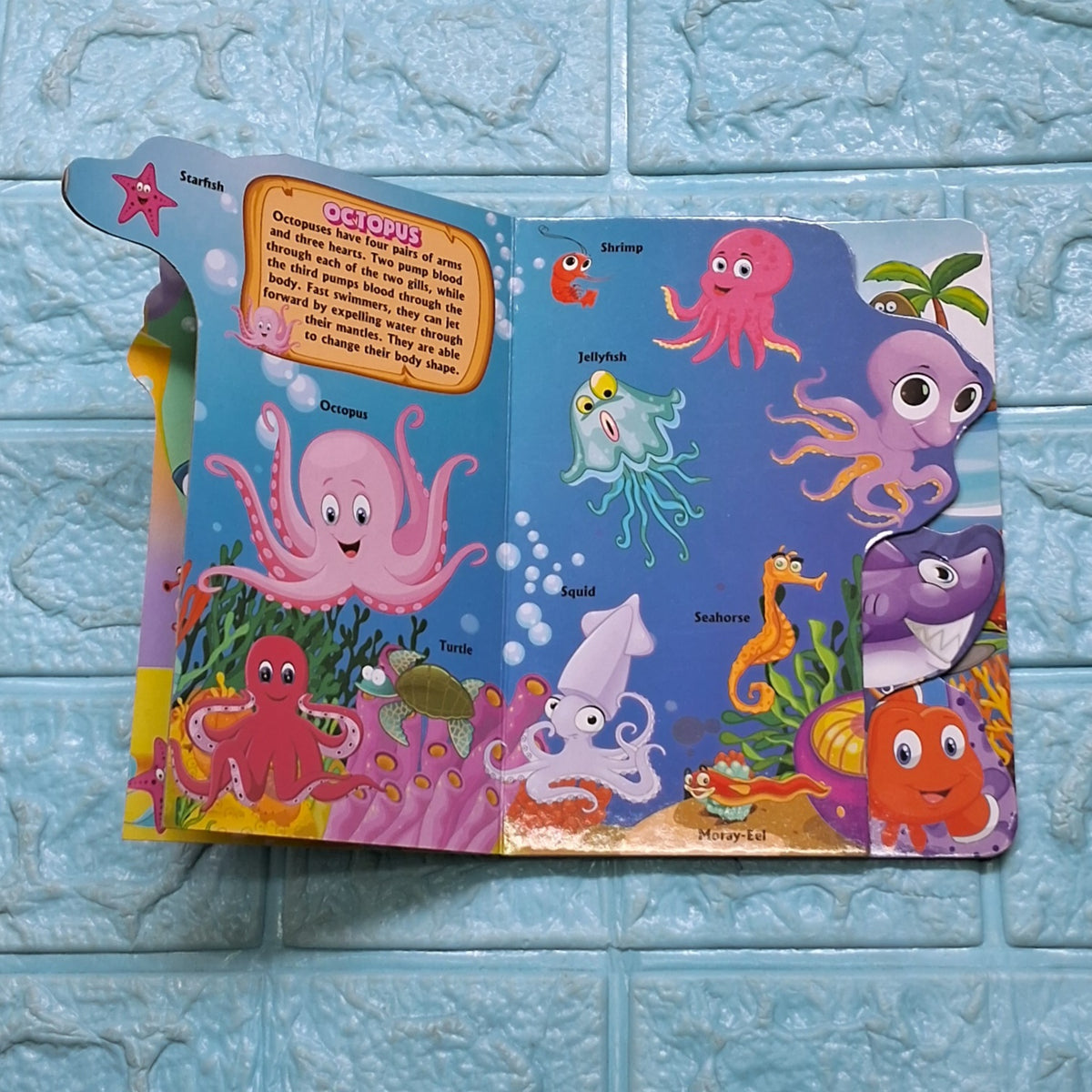 Step Cut Board Book-Sea Friends - Stock Clearance