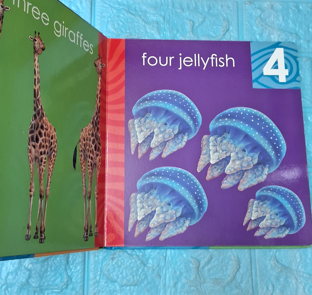 My First Counting Animals Book - Big Board Book - Excellent Condition