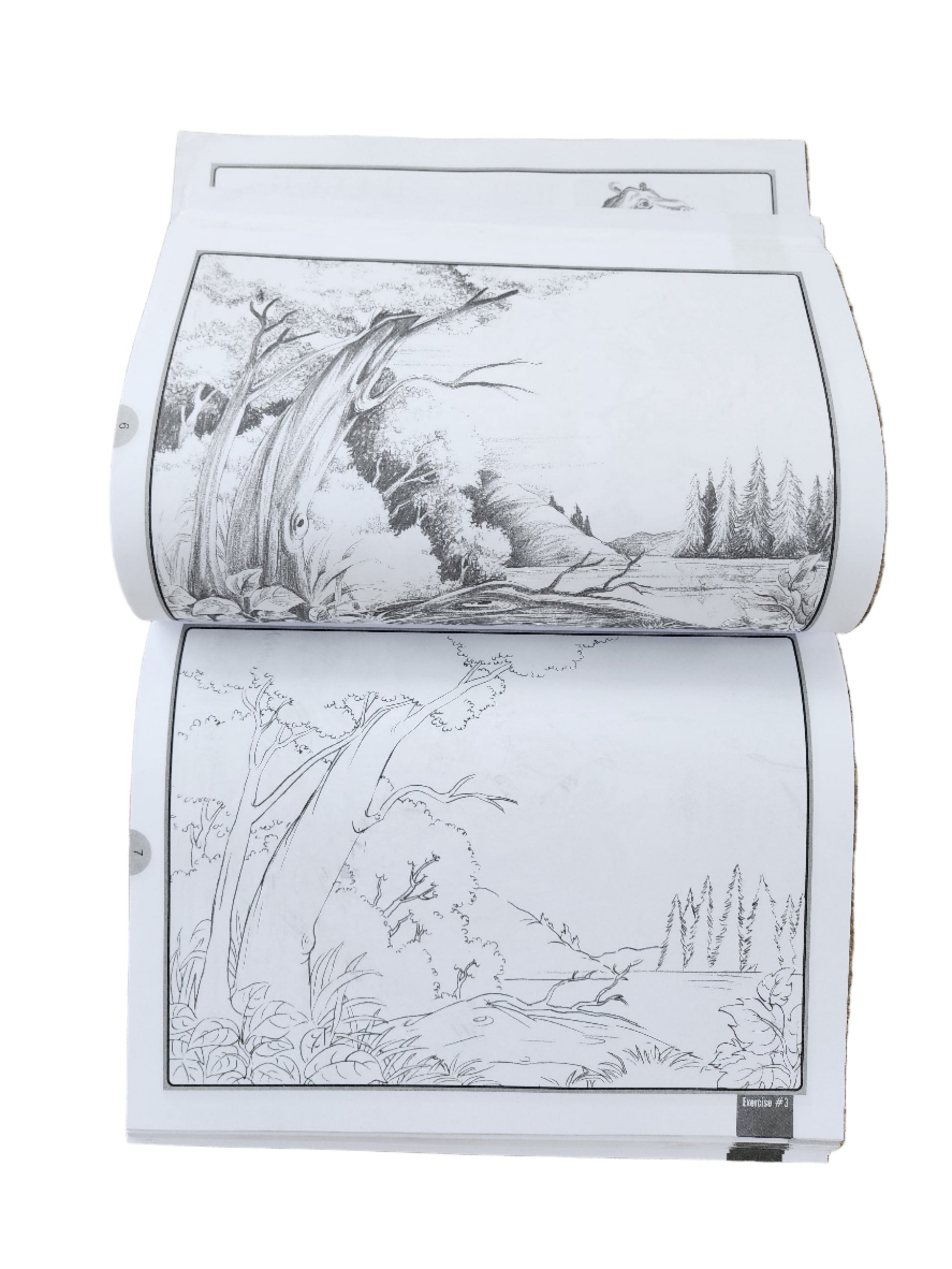 Pencil Shading - Bumper Book