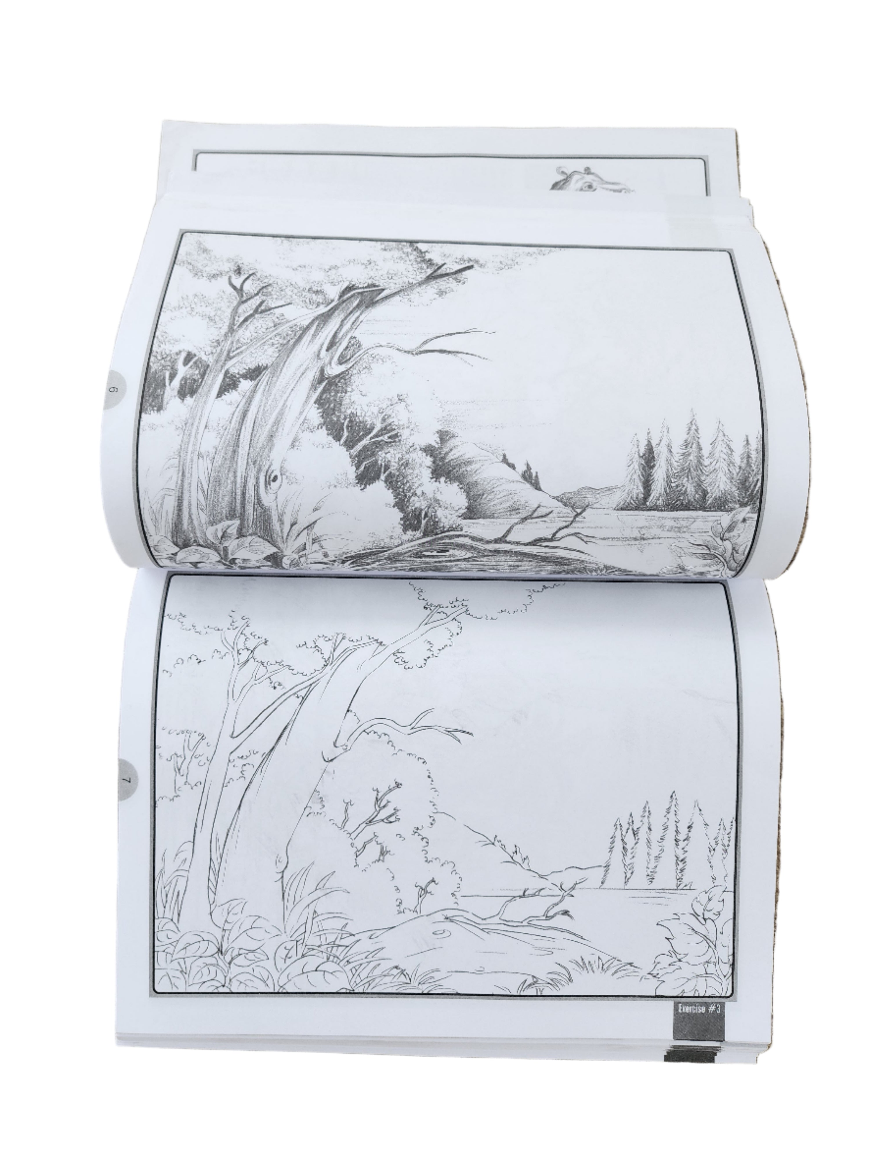 Pencil Shading - Bumper Book
