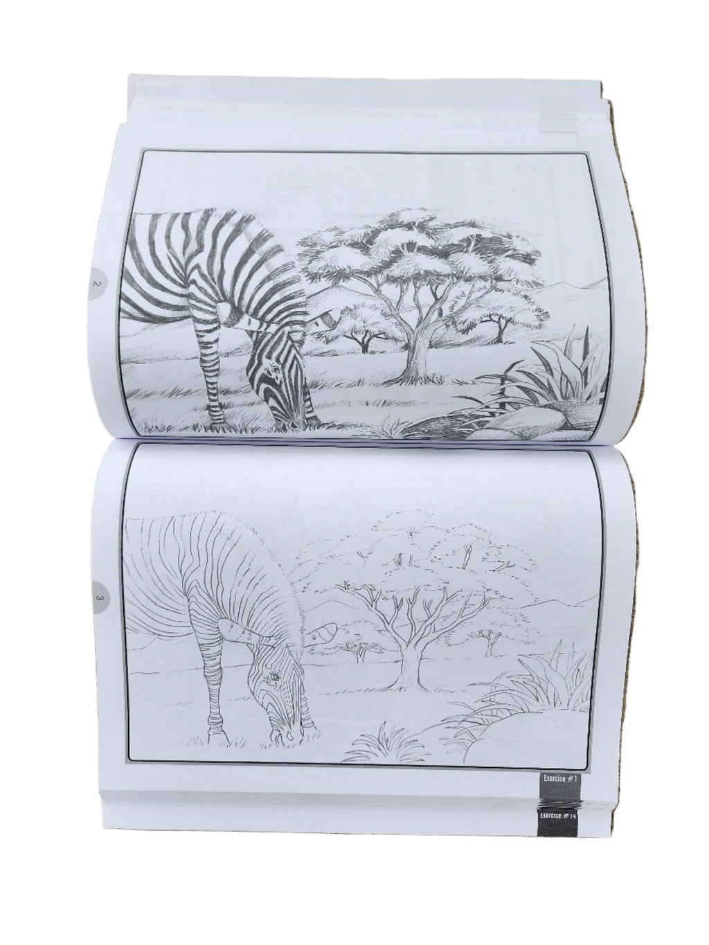 Pencil Shading - Bumper Book