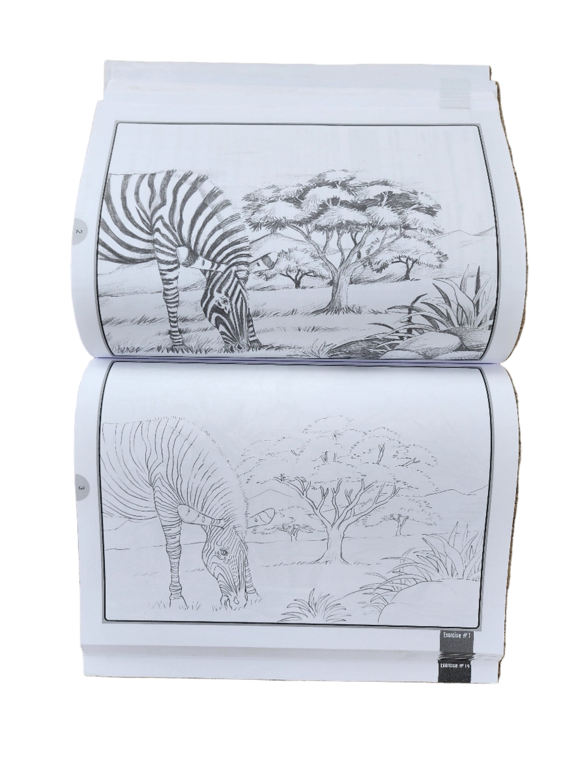 Pencil Shading - Bumper Book