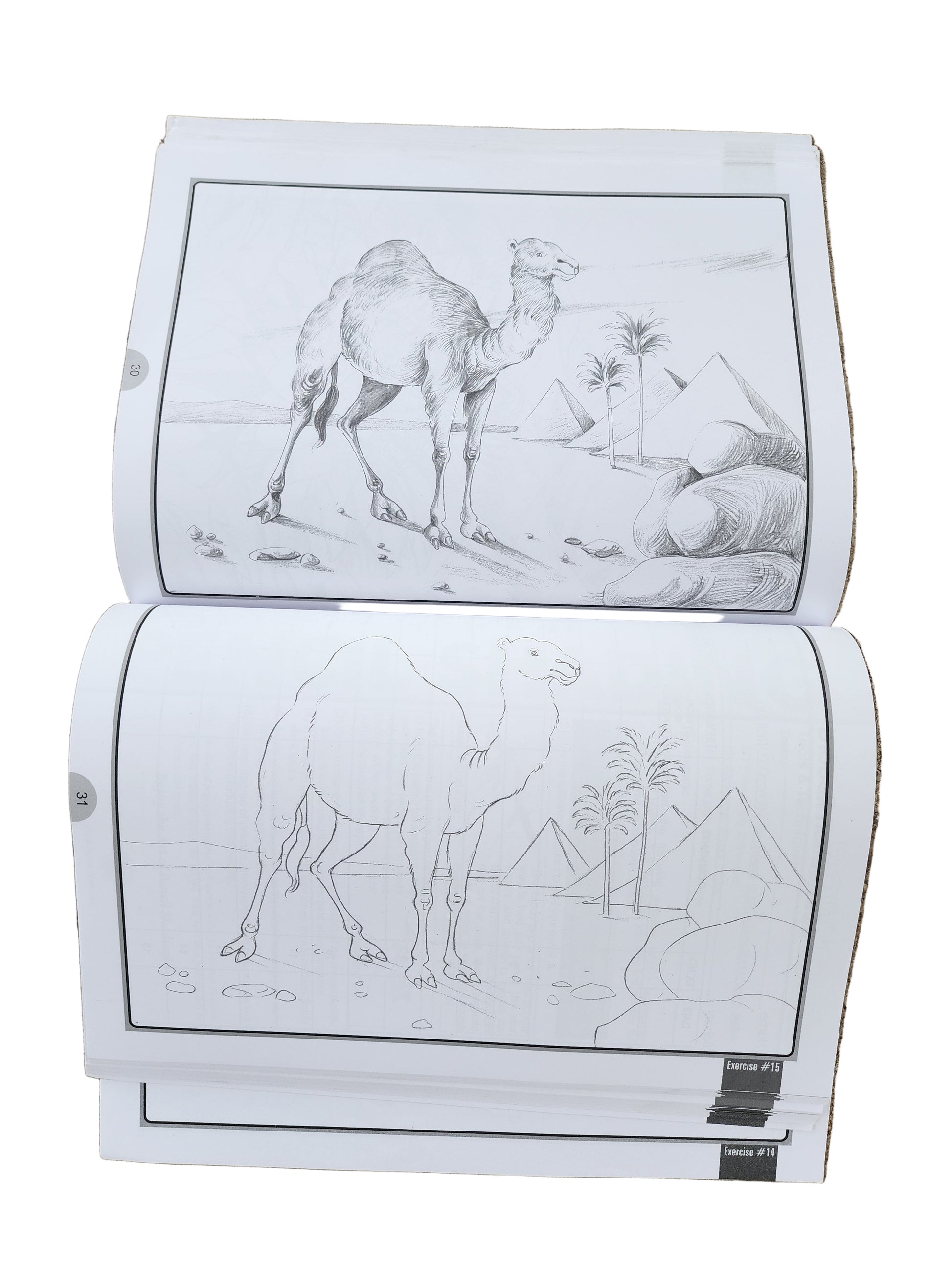 Pencil Shading - Bumper Book