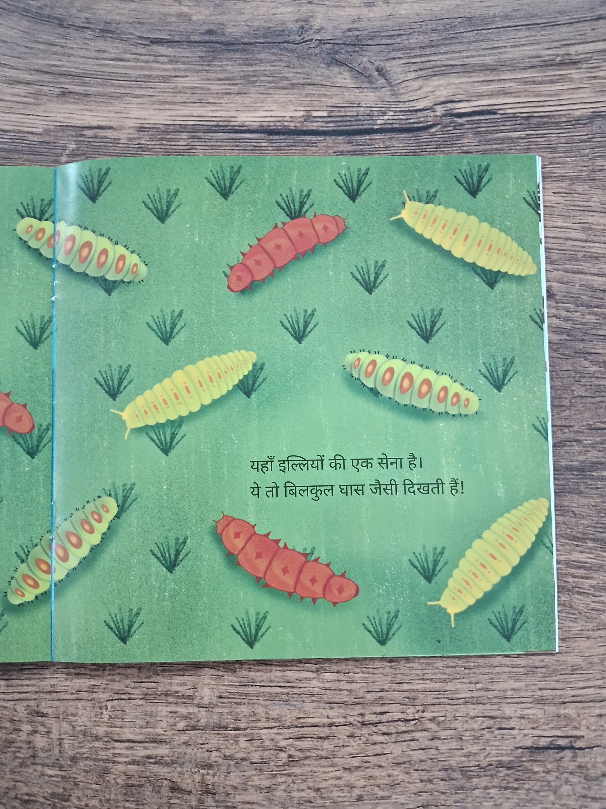 In My Garden - Hindi Pratham Level2