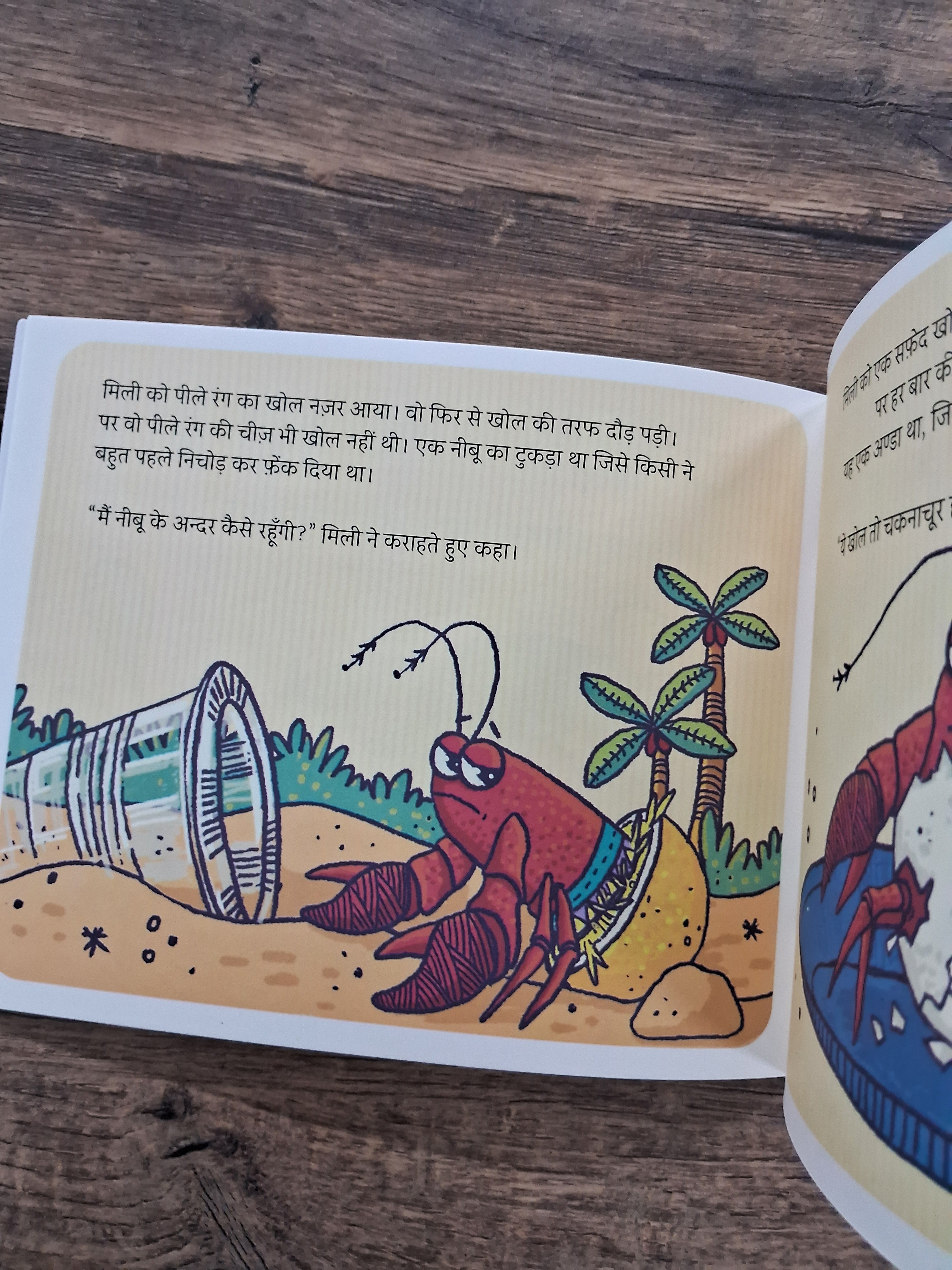 A Suitable Shell - Hindi Pratham Level2