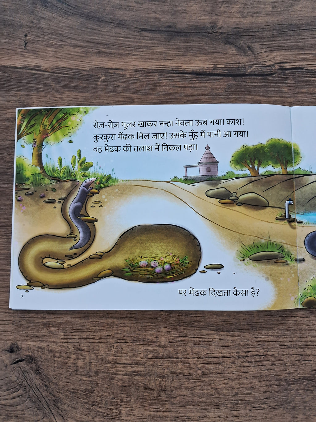 Baby Mongoose Goes Looking For a Frog - Hindi Pratham Level1