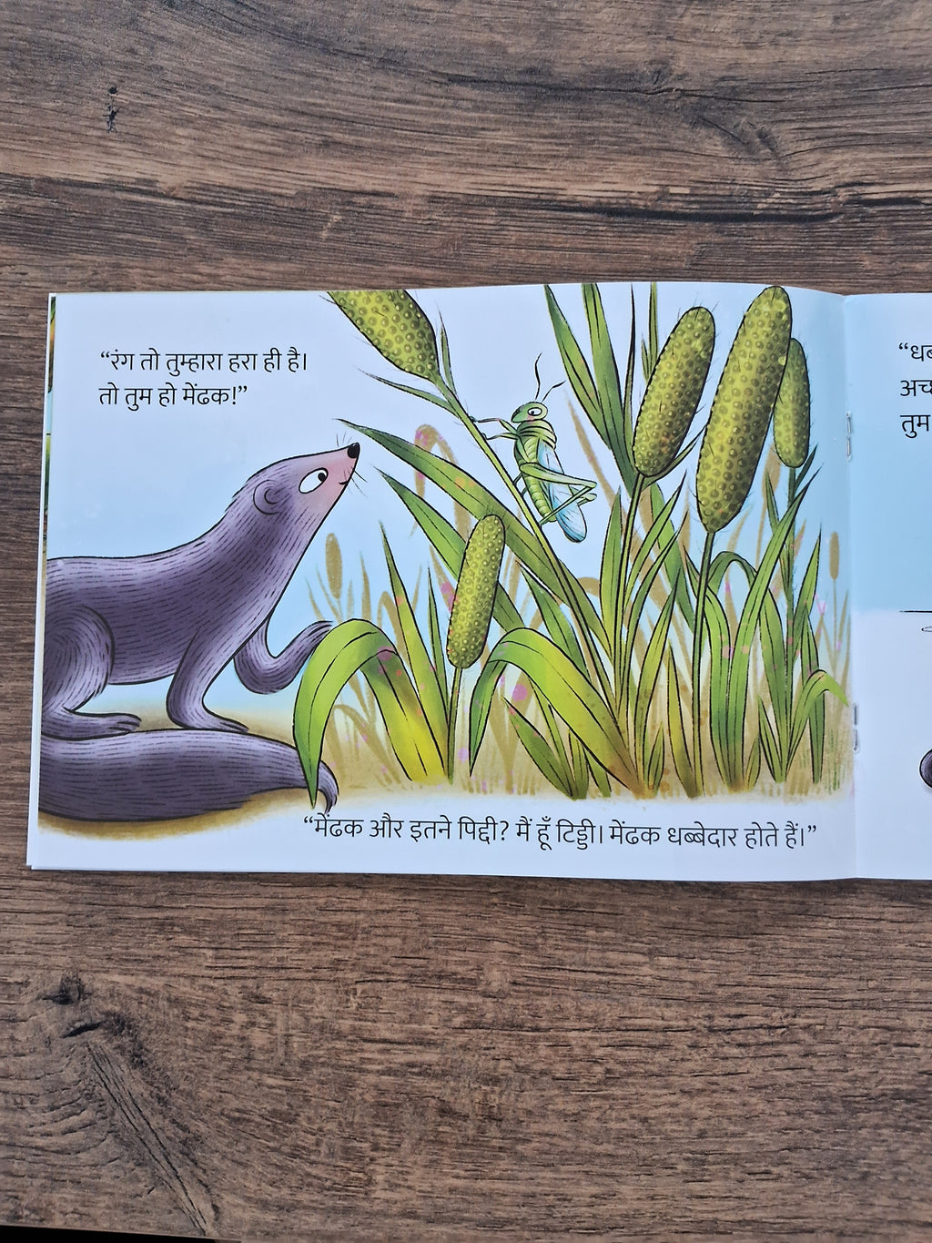 Baby Mongoose Goes Looking For a Frog - Hindi Pratham Level1