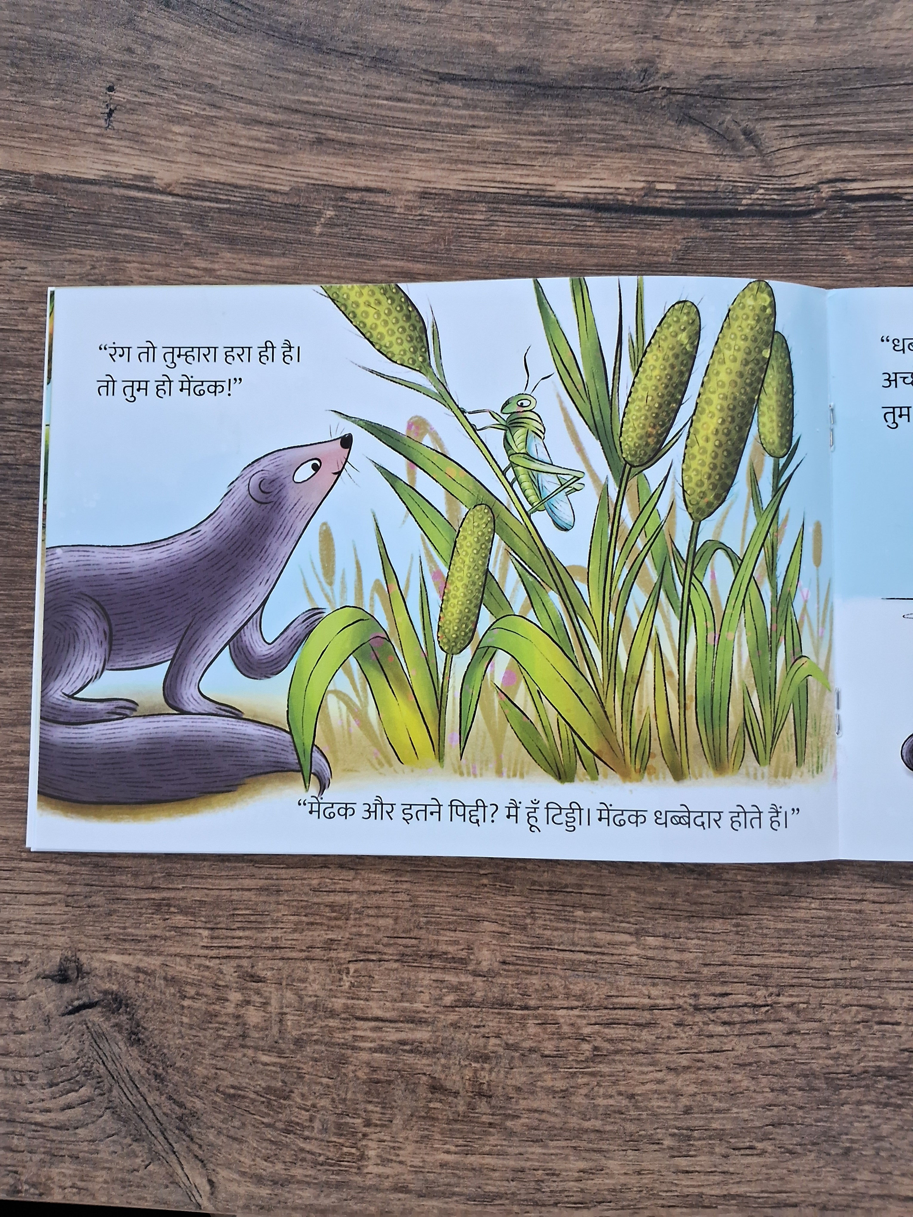 Baby Mongoose Goes Looking For a Frog - Hindi Pratham Level1