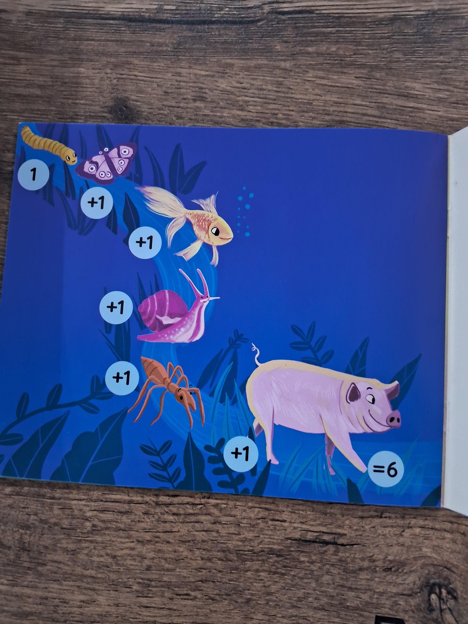 How Many? - Hindi Pratham Level1