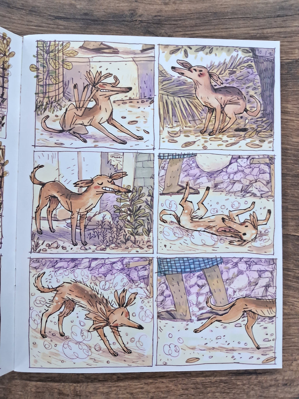 Dugga (Wordless) - Pratham English