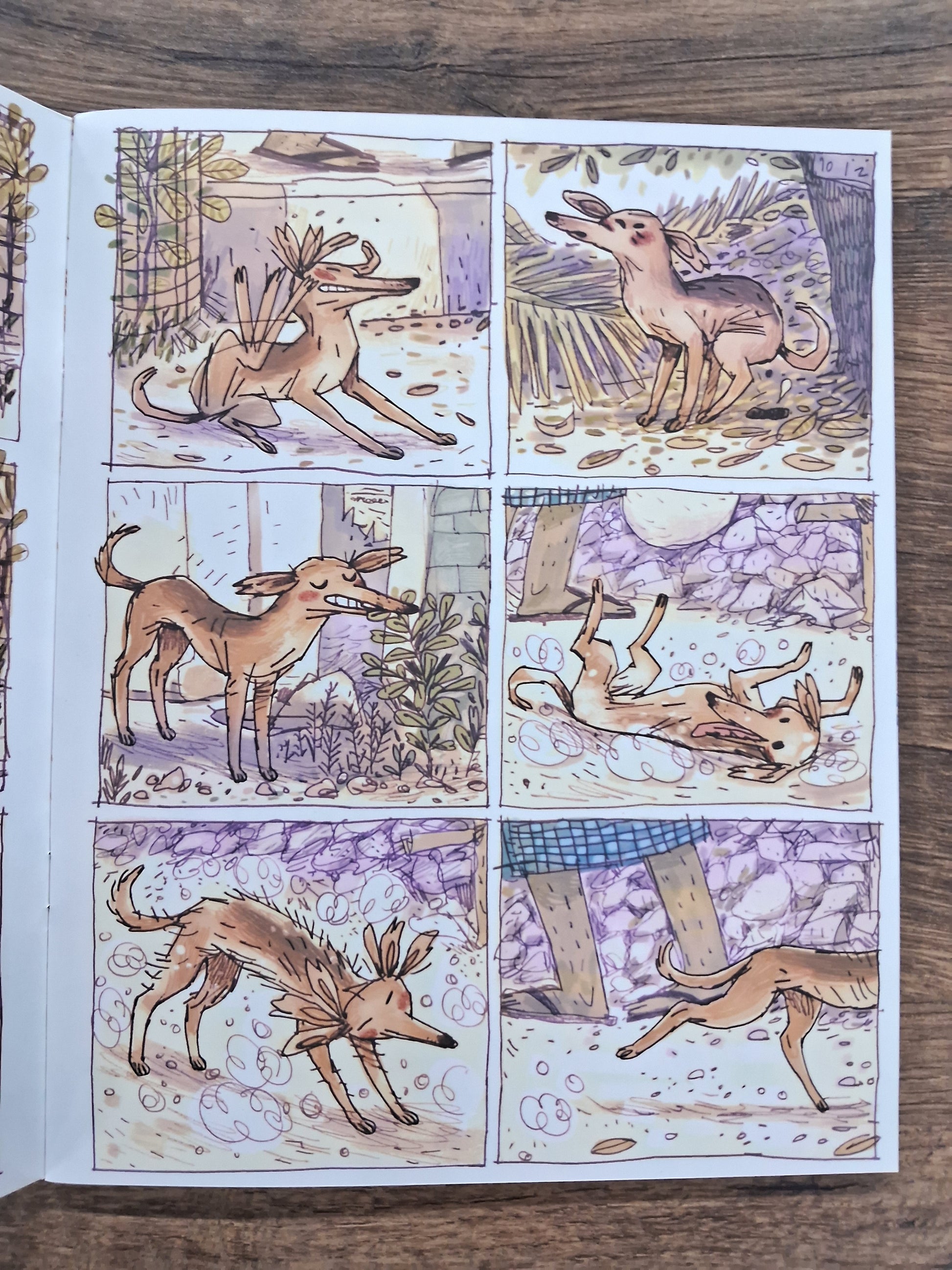 Dugga (Wordless) - Pratham English