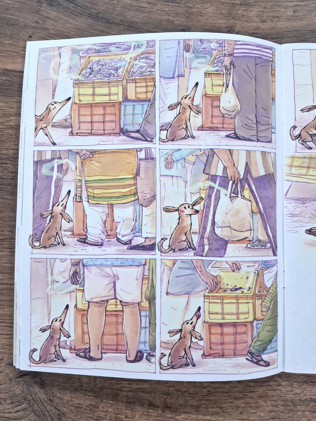 Dugga (Wordless) - Pratham English