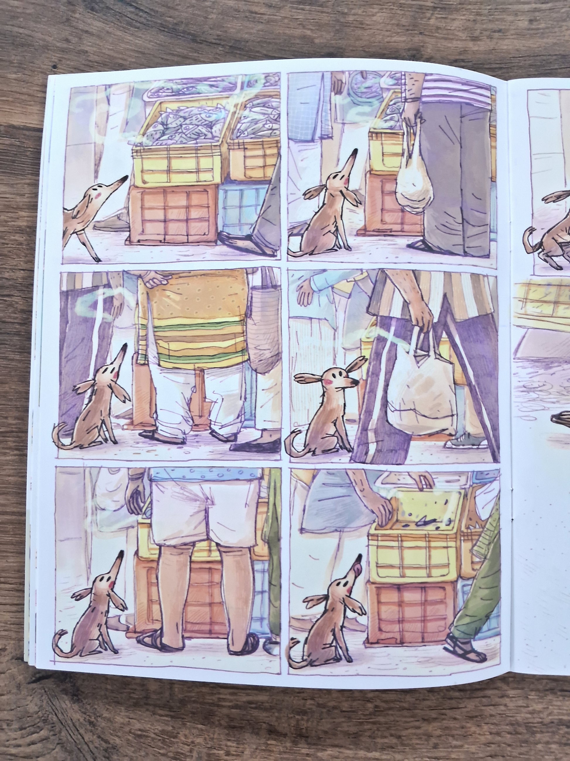 Dugga (Wordless) - Pratham English