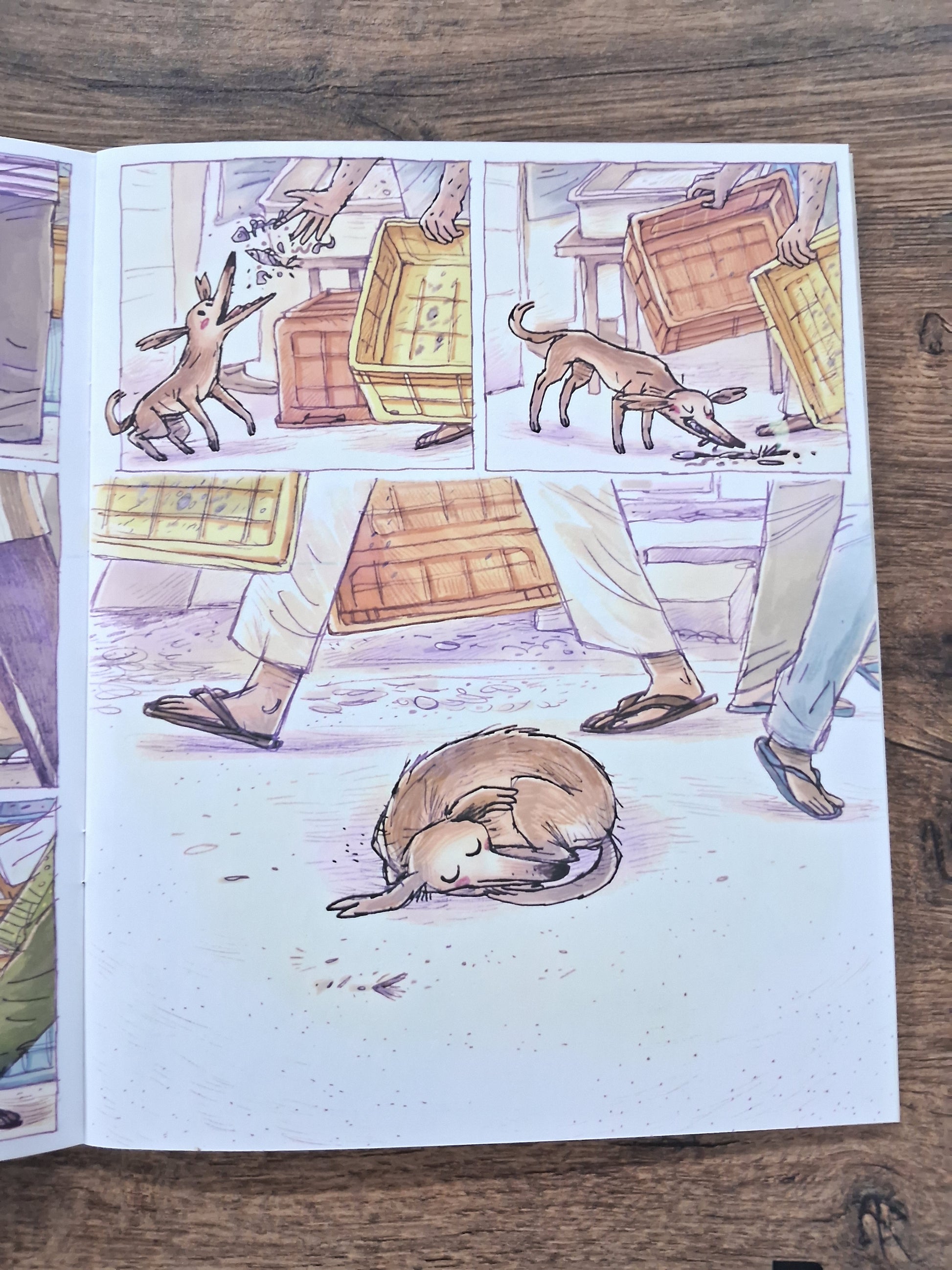 Dugga (Wordless) - Pratham English